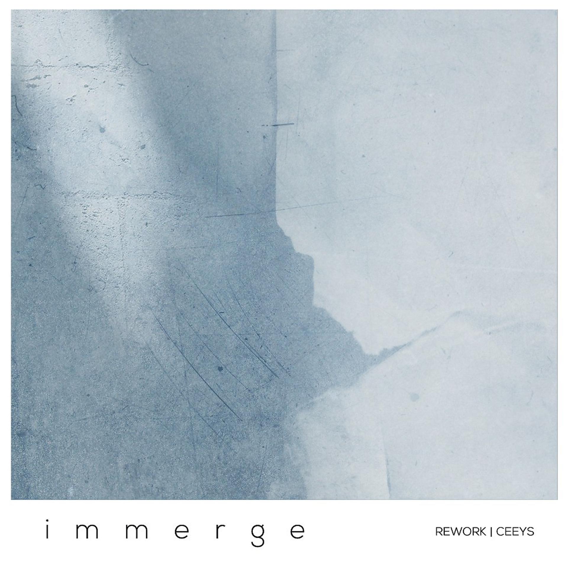 Постер альбома Immerge (Ceeys Rework)