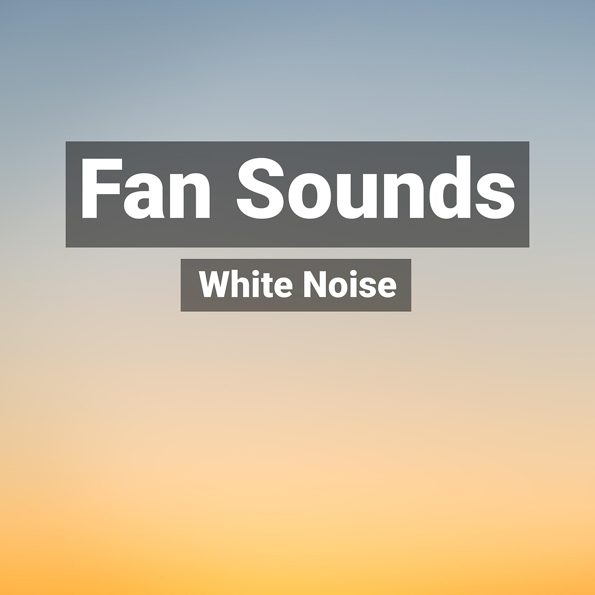 Постер альбома Air Conditioner and Fan Sounds White Noise