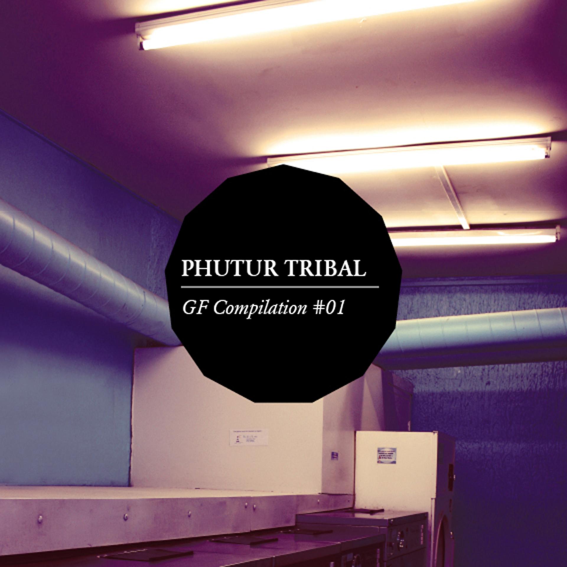 Постер альбома Phutur Tribal Compilation