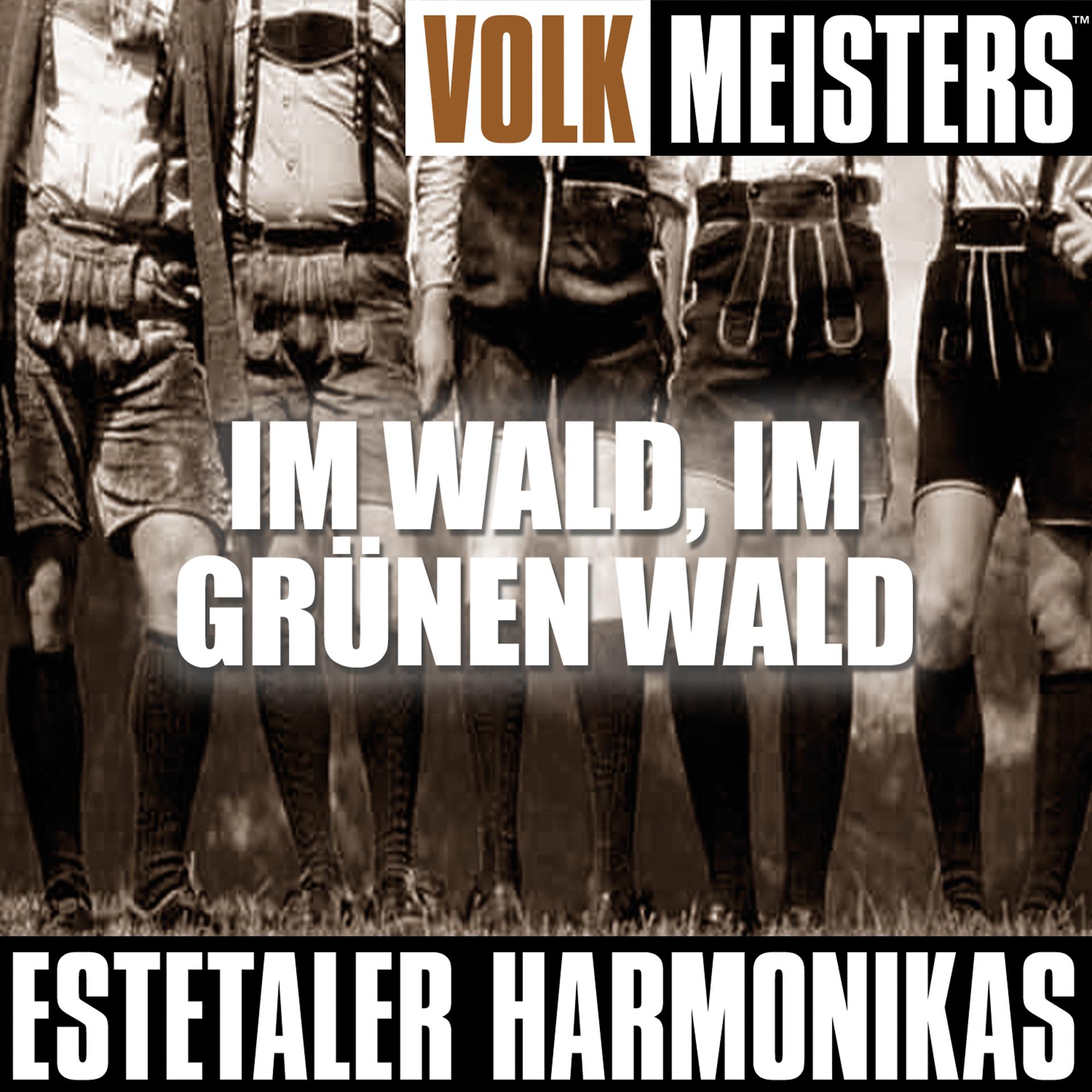 Постер альбома Volk Meisters: Im Wald, Im Grünen Wald