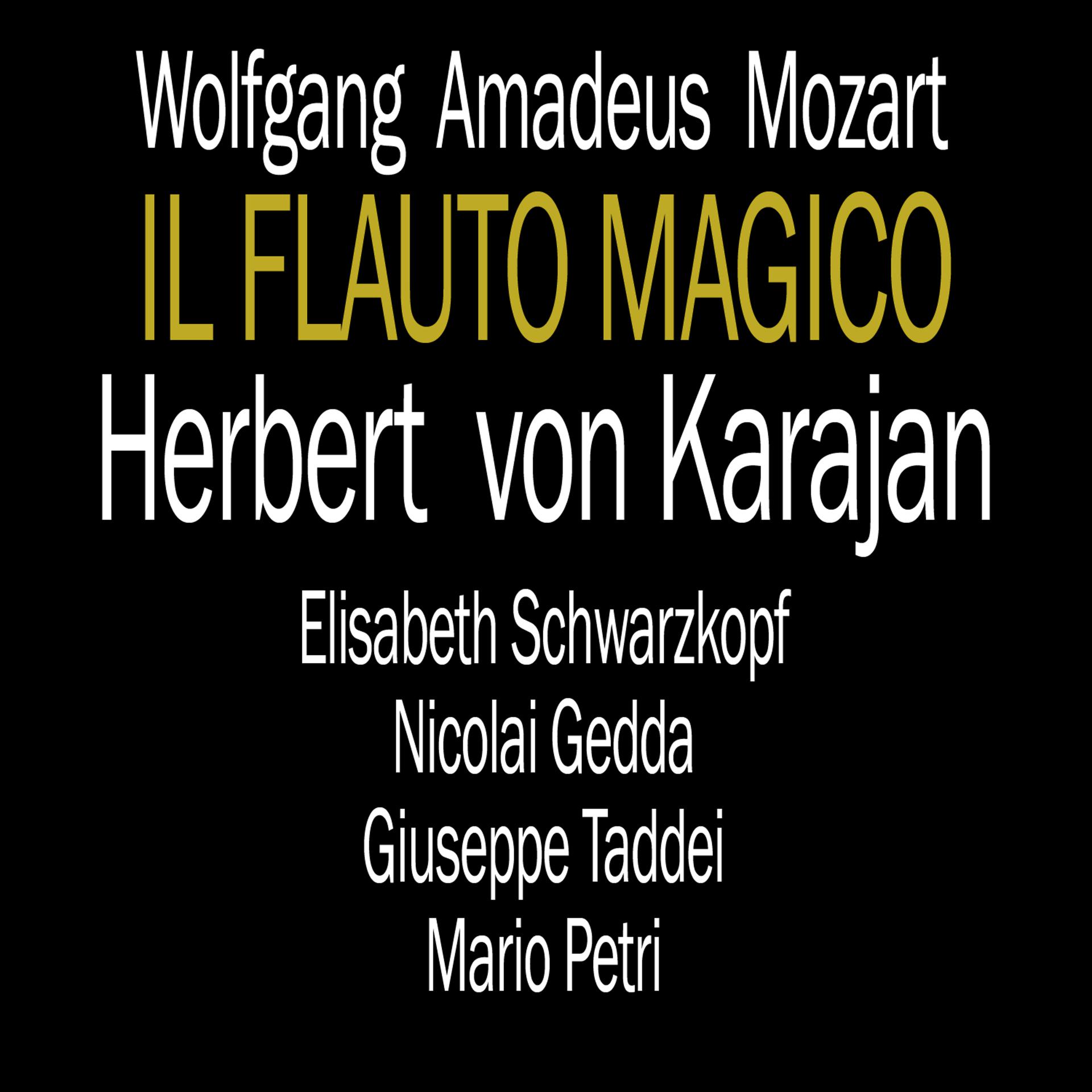 Постер альбома Il Flauto Magico