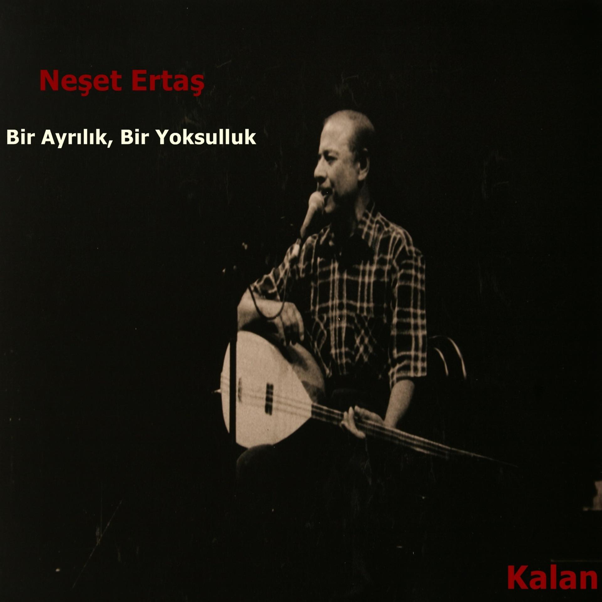 Постер альбома Bir Ayrılık, Bir Yoksulluk