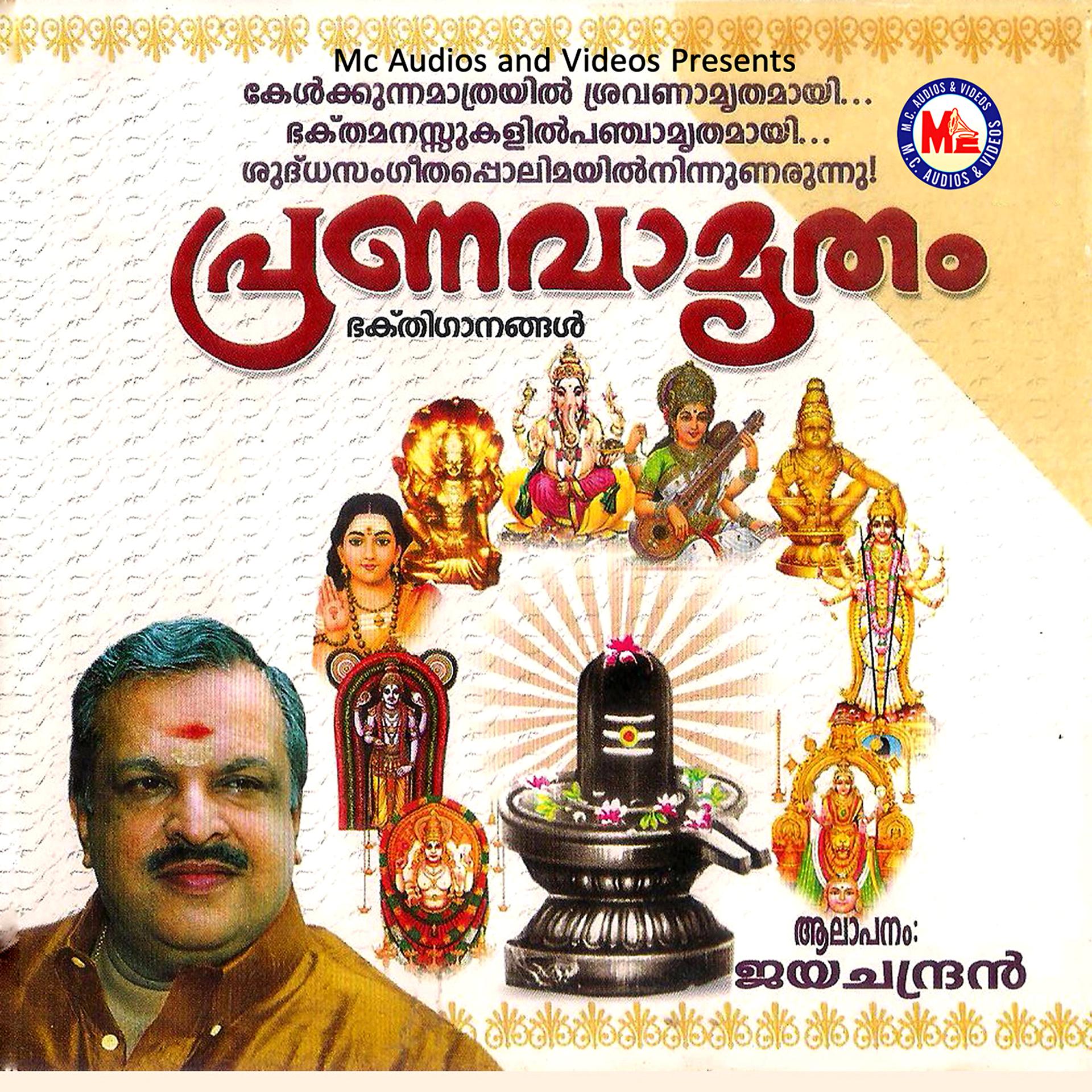 Постер альбома Pranavamritham