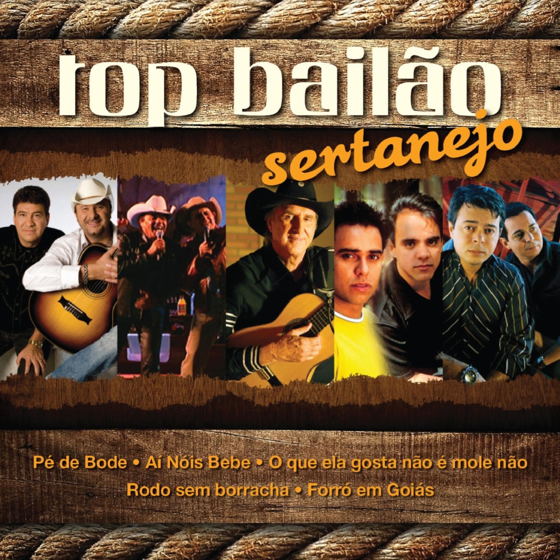 Постер альбома Top Bailao Sertanejo