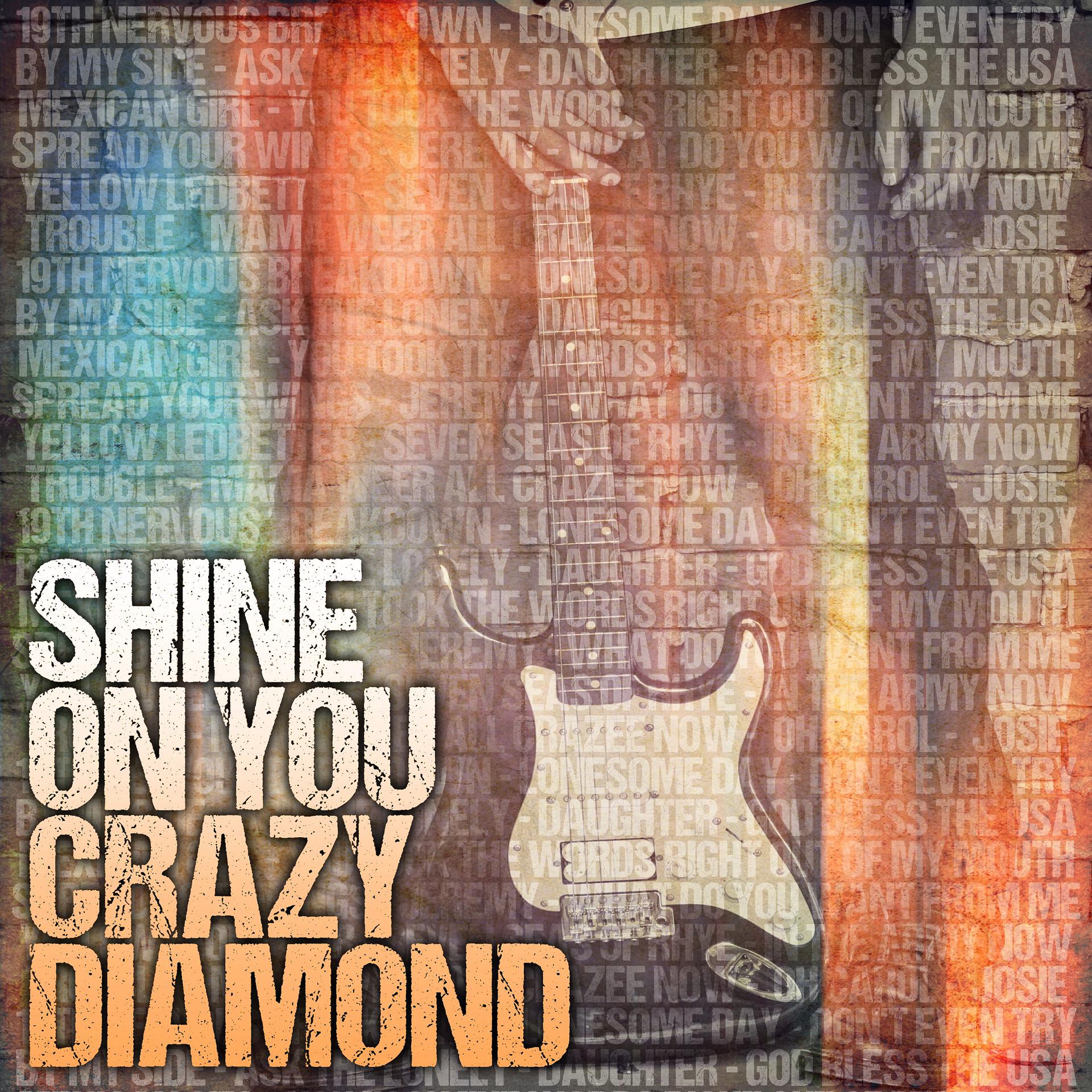 Постер альбома Shine on You Crazy Diamond