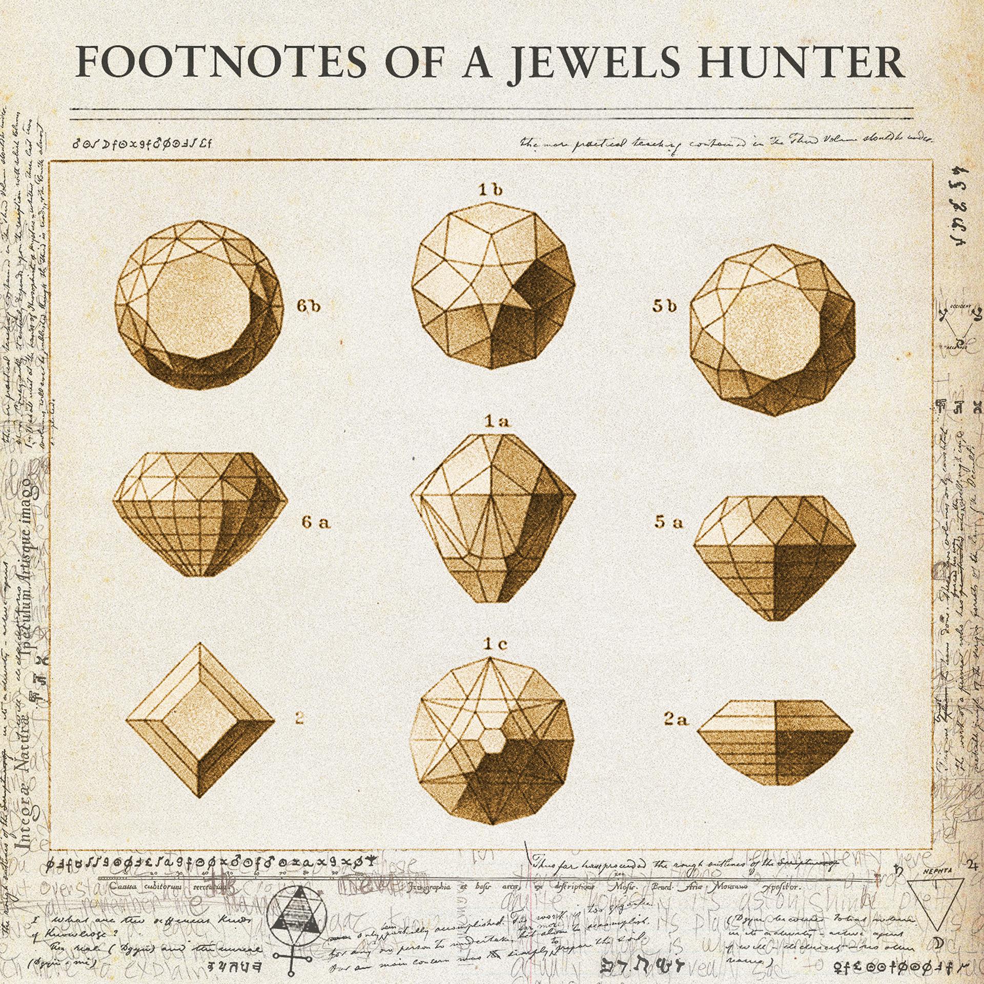 Постер альбома Footnotes of a Jewels Hunter