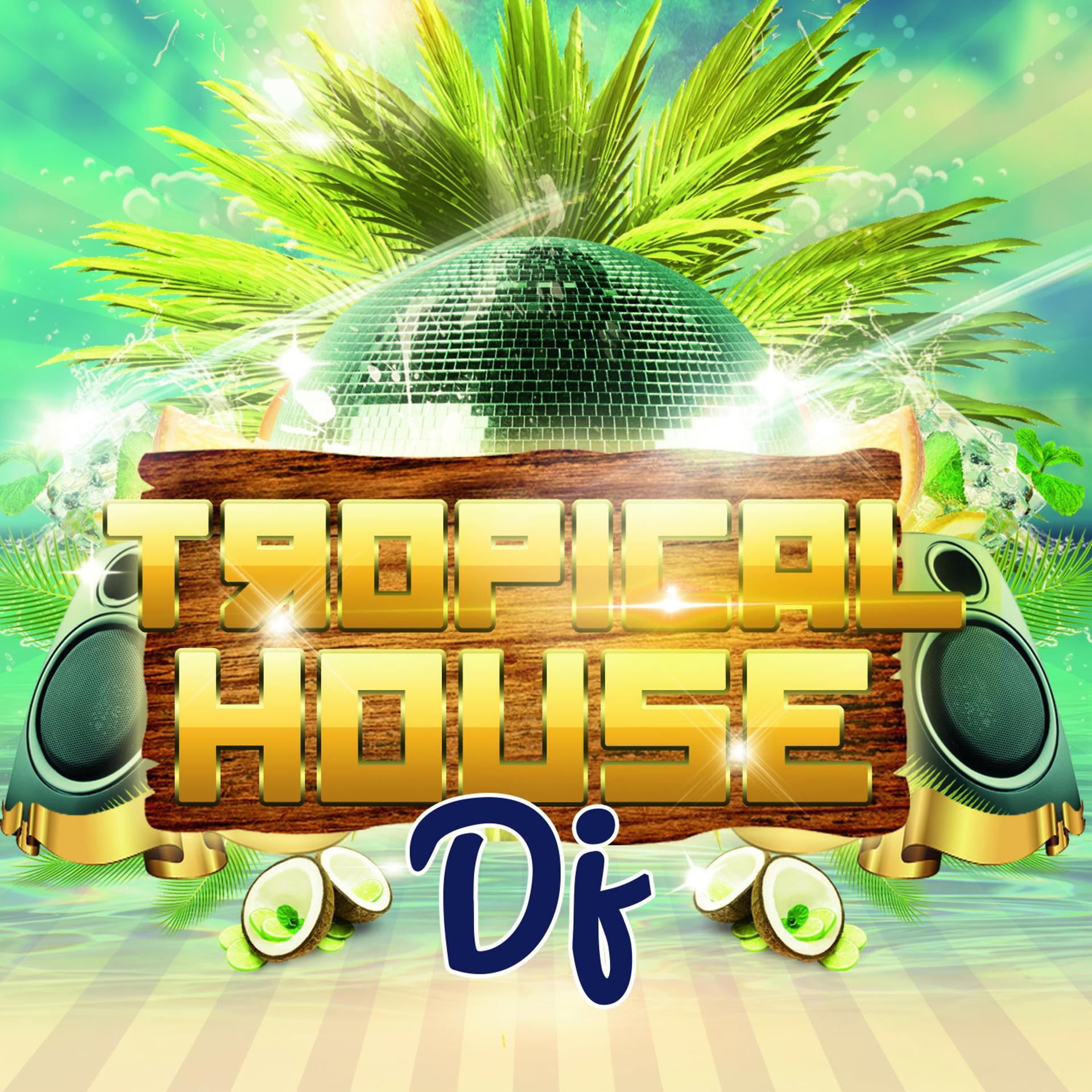 Постер альбома Tropical House DJ
