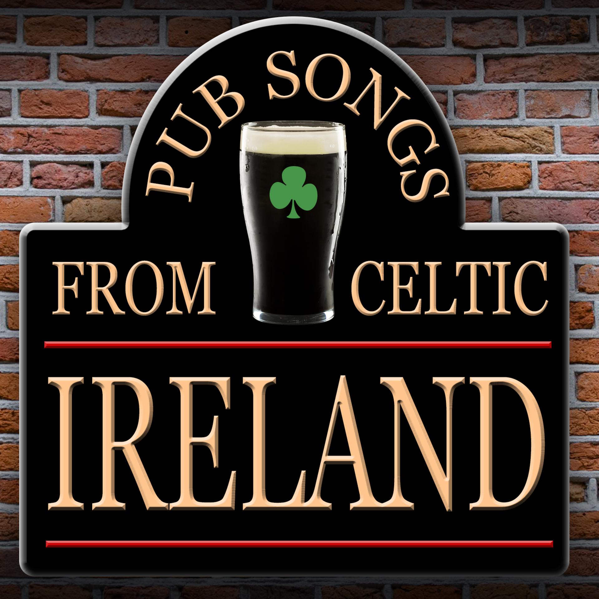 Постер альбома Pub Songs from Celtic Ireland