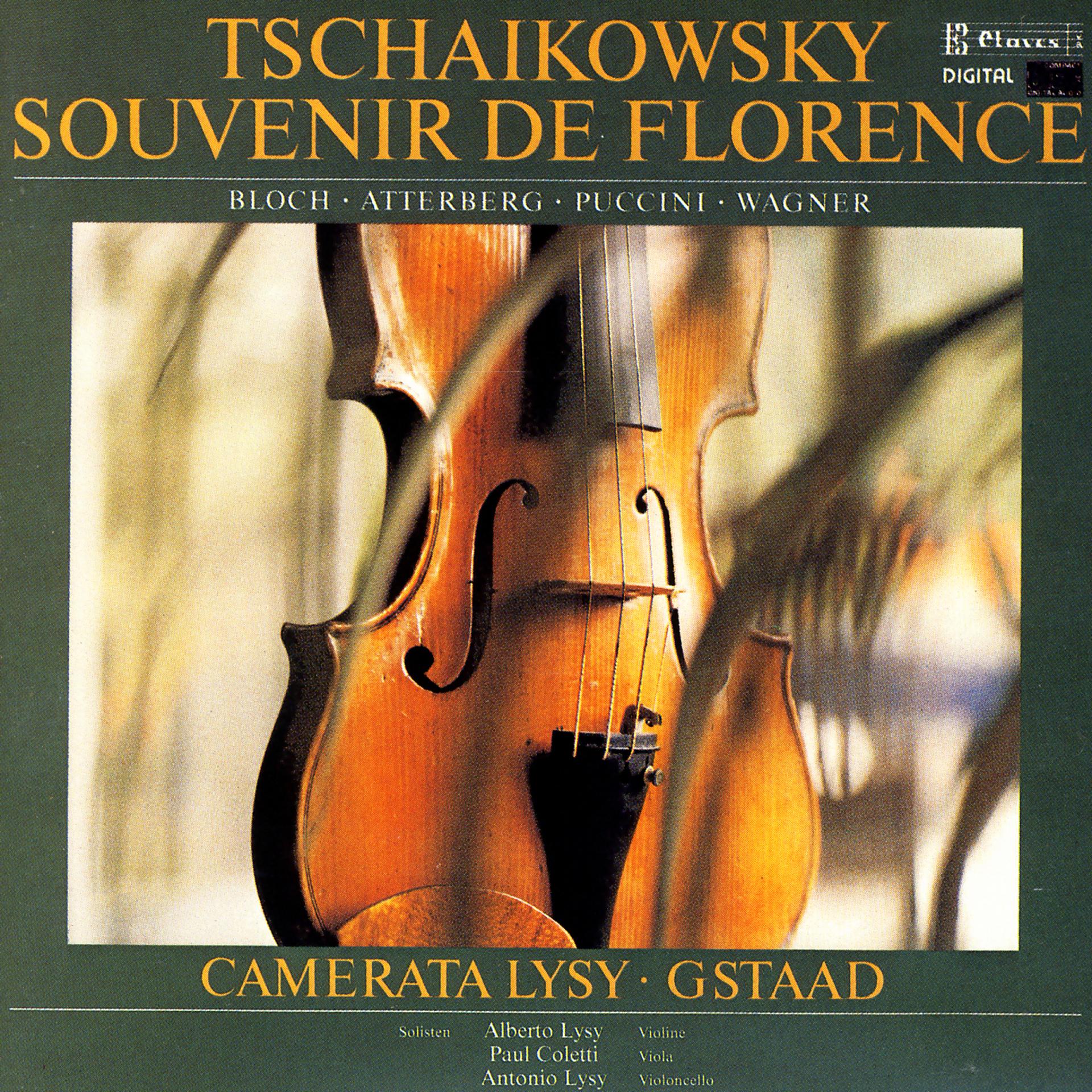 Постер альбома Tchaikovsky,  Bloch, K. Atterberg, Puccini  & Wagner: Music for Strings