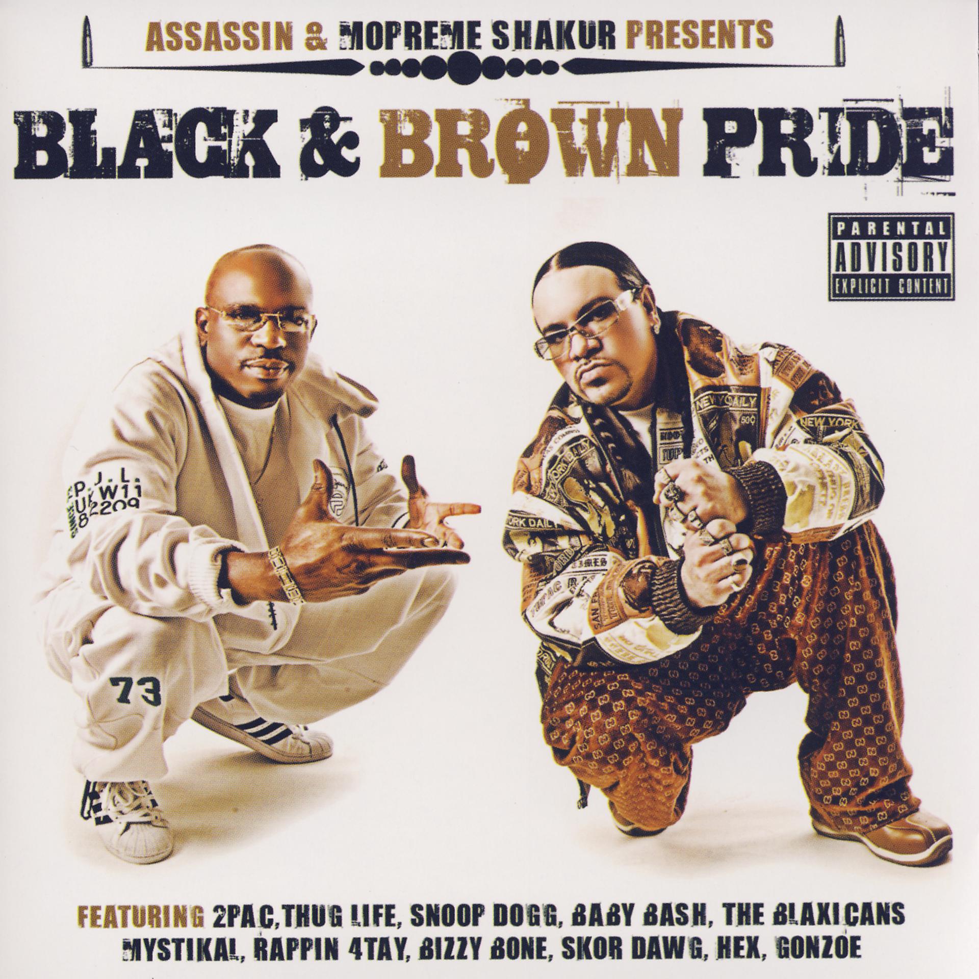 Постер альбома Black & Brown Pride