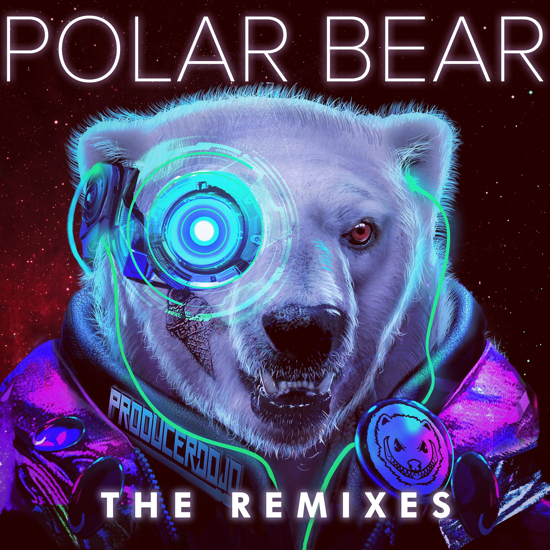Постер альбома Polar Bear the Remixes