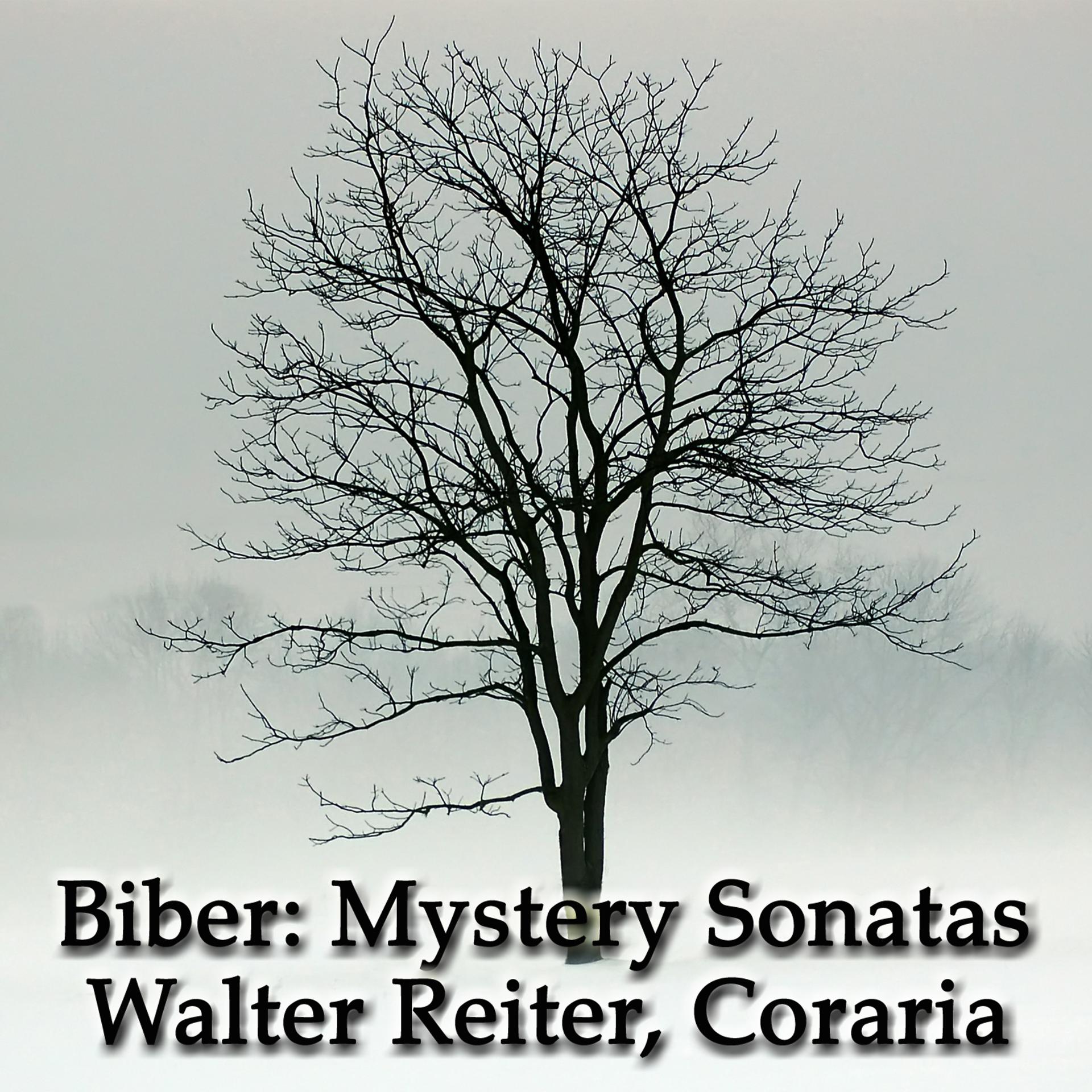 Постер альбома Biber: Mystery Sonatas
