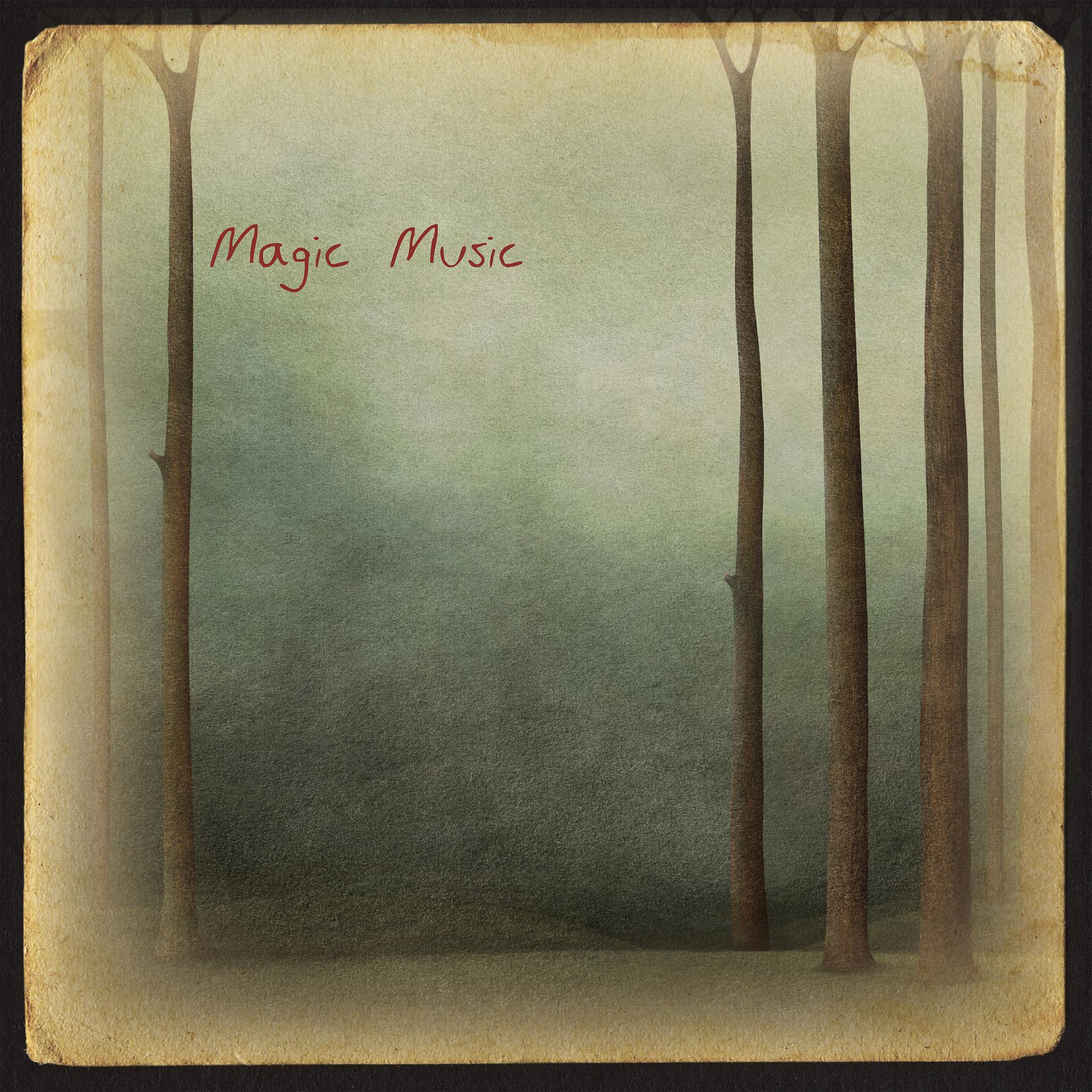 Постер альбома Magic Music