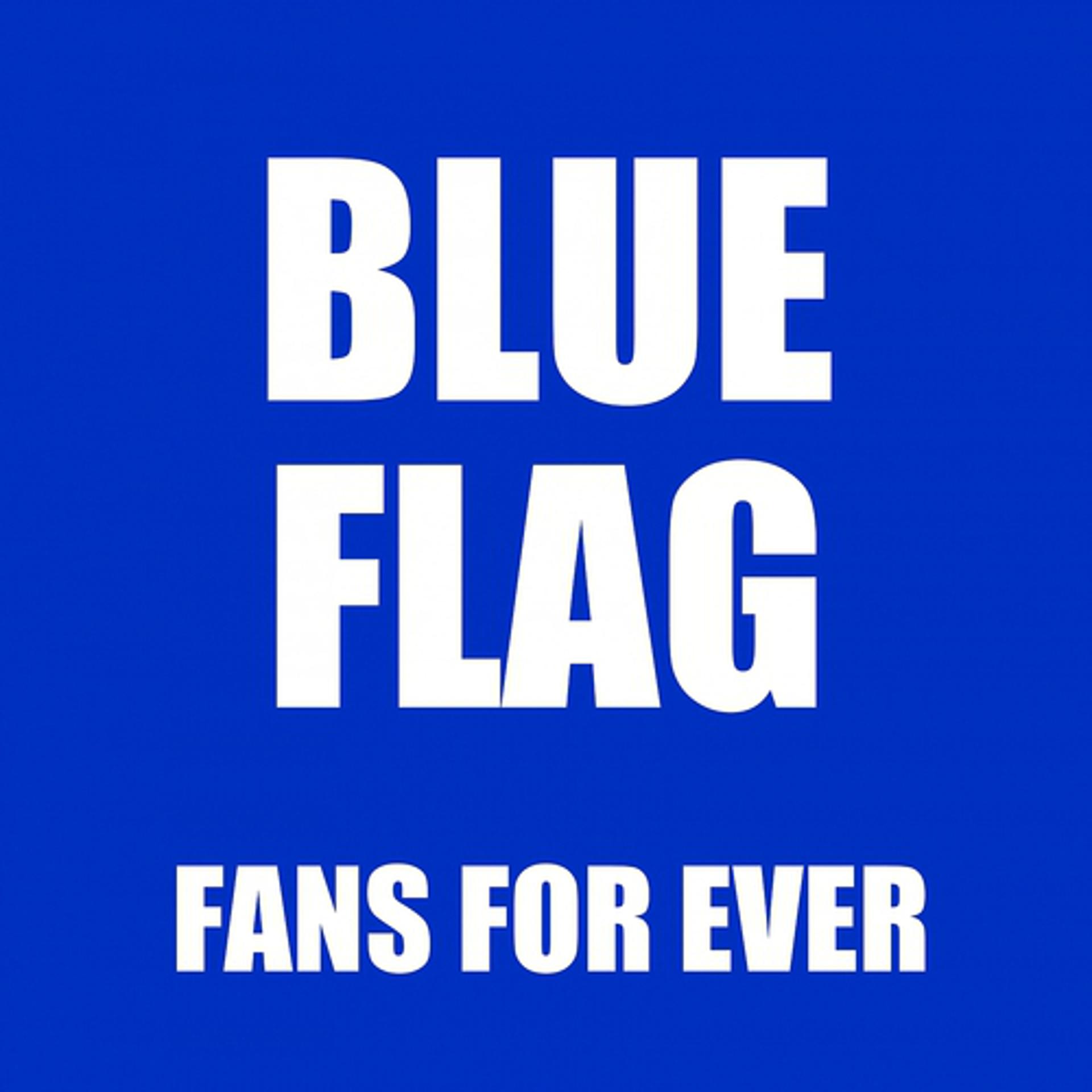 Постер альбома Chelsea Blue Flag