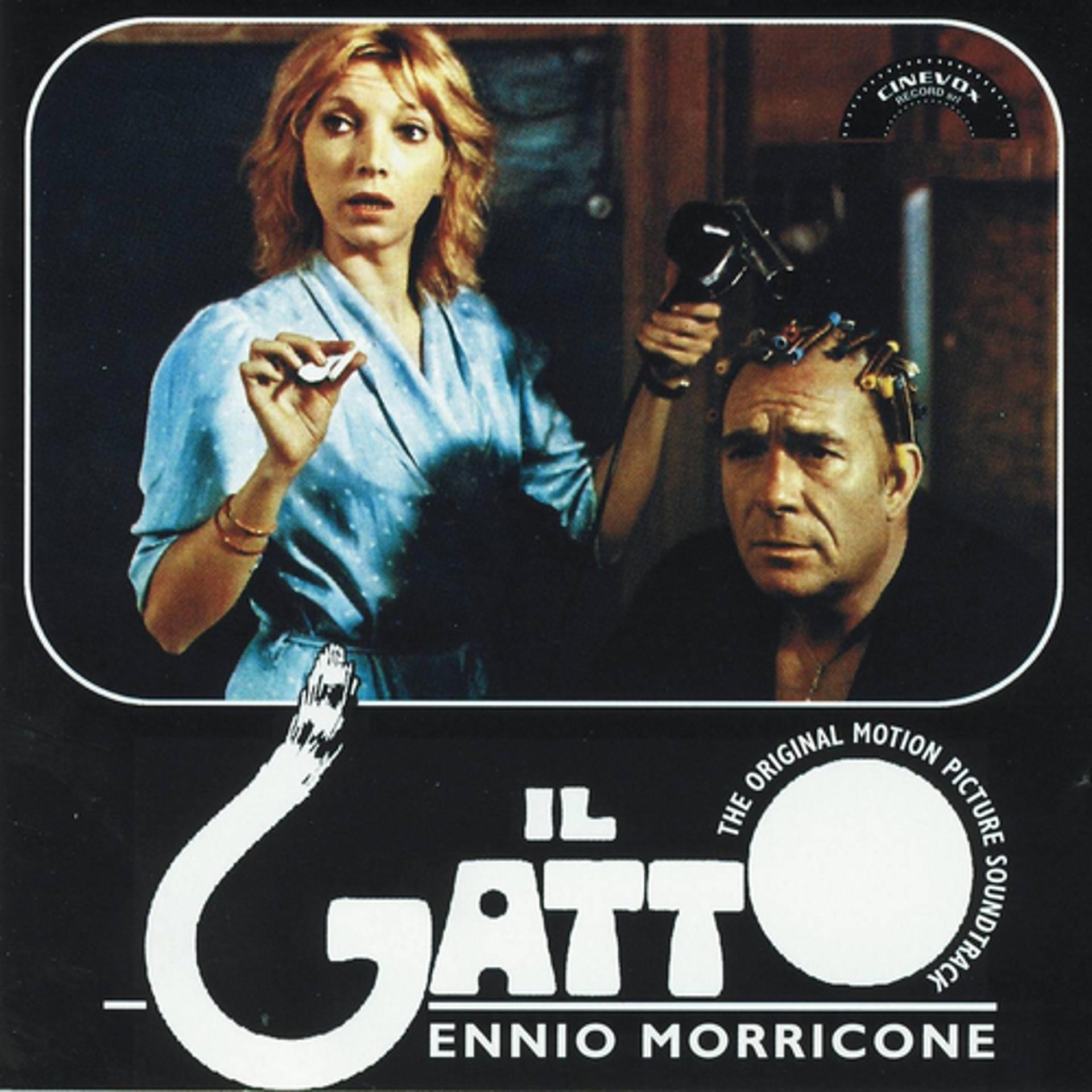 Постер альбома Il gatto