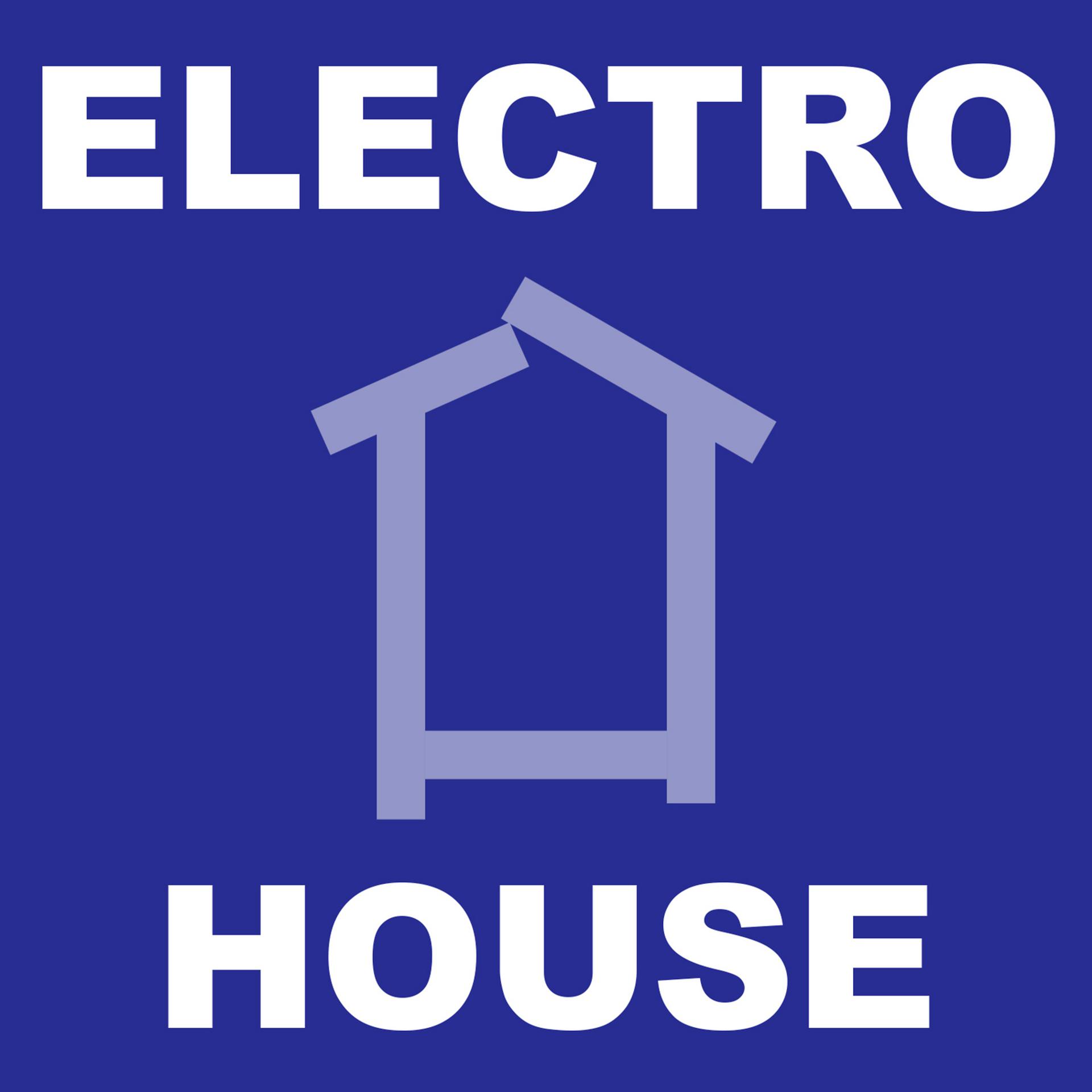 Постер альбома Electro House
