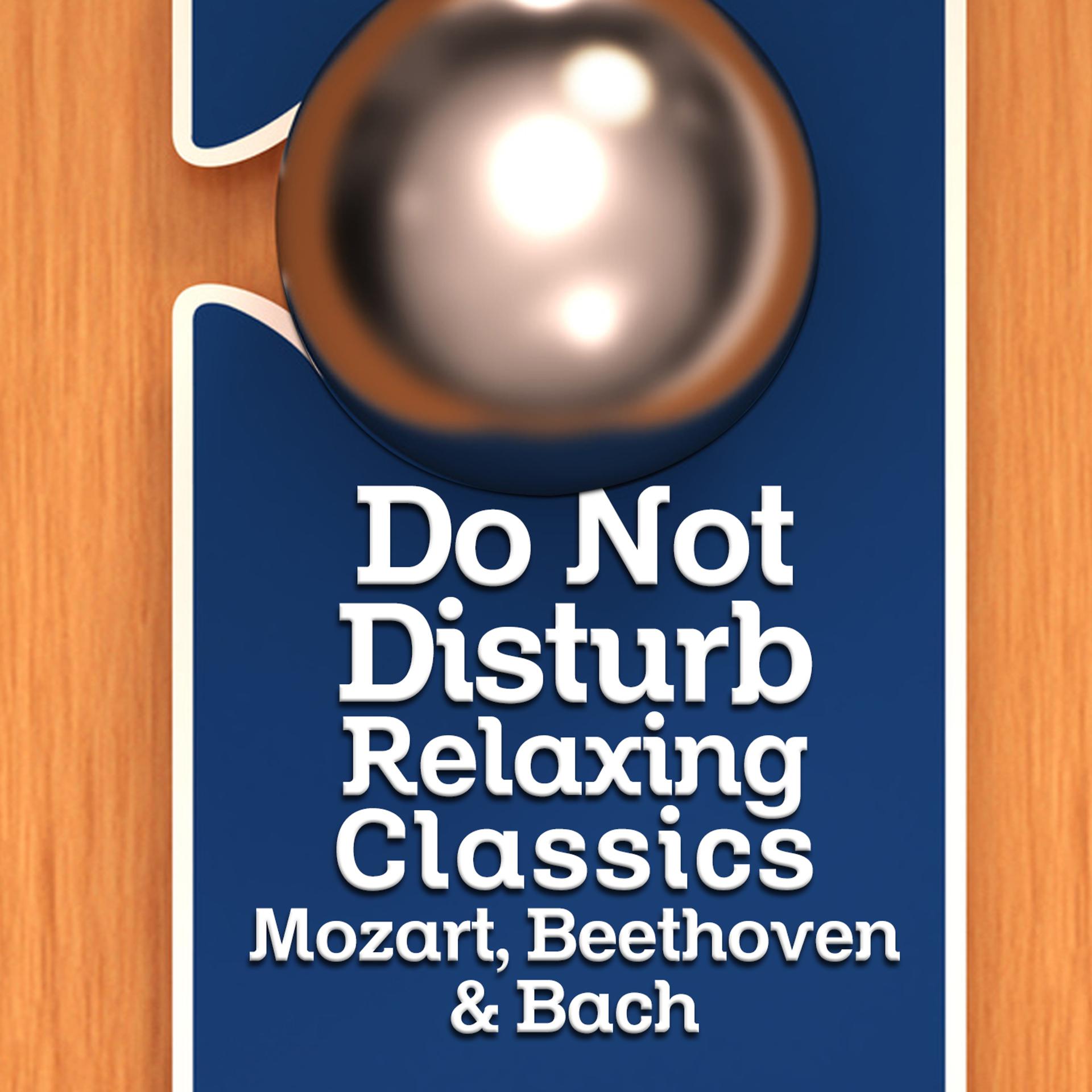 Постер альбома Do Not Disturb - Relaxing Classics - Mozart, Beethoven & Bach