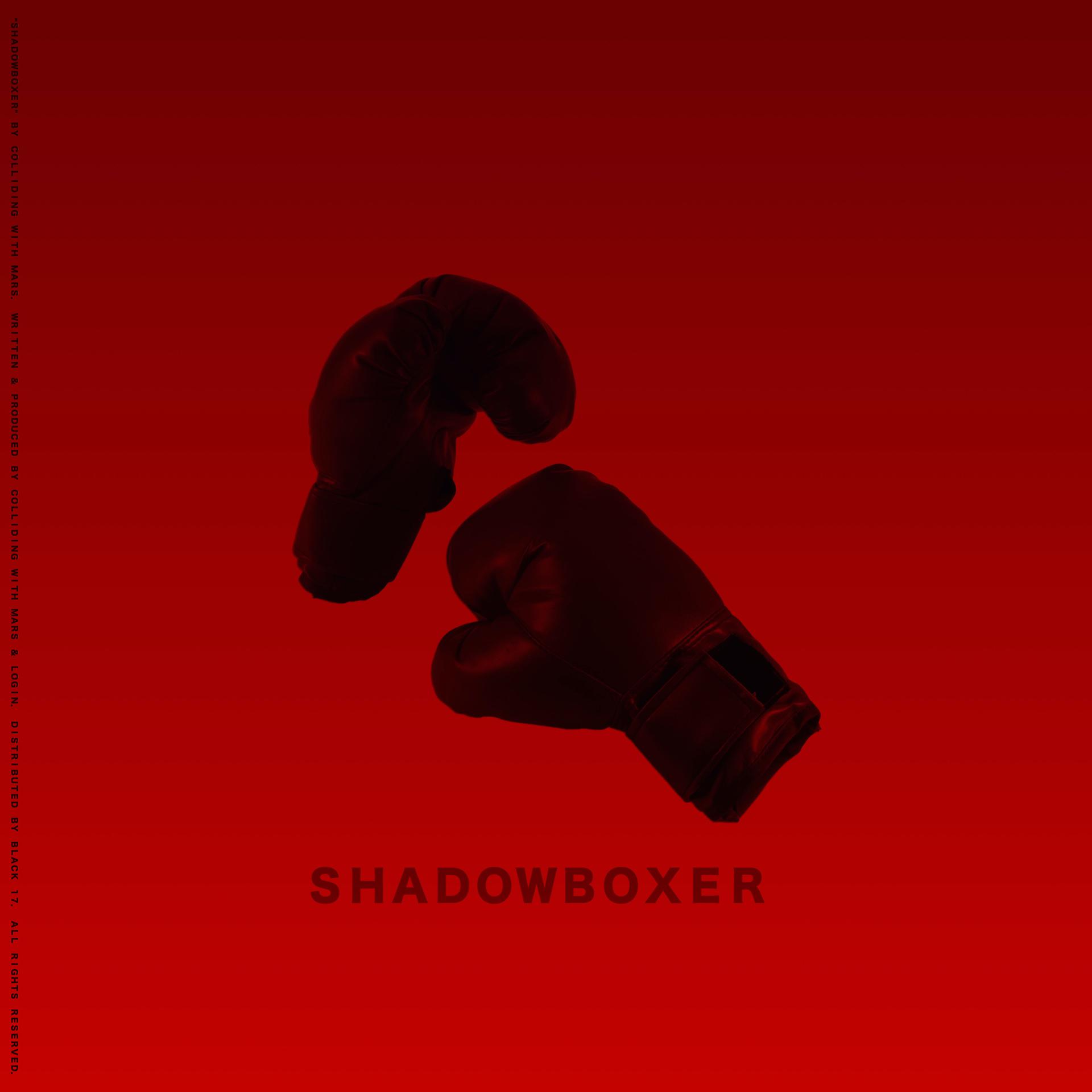 Постер альбома SHADOWBOXER