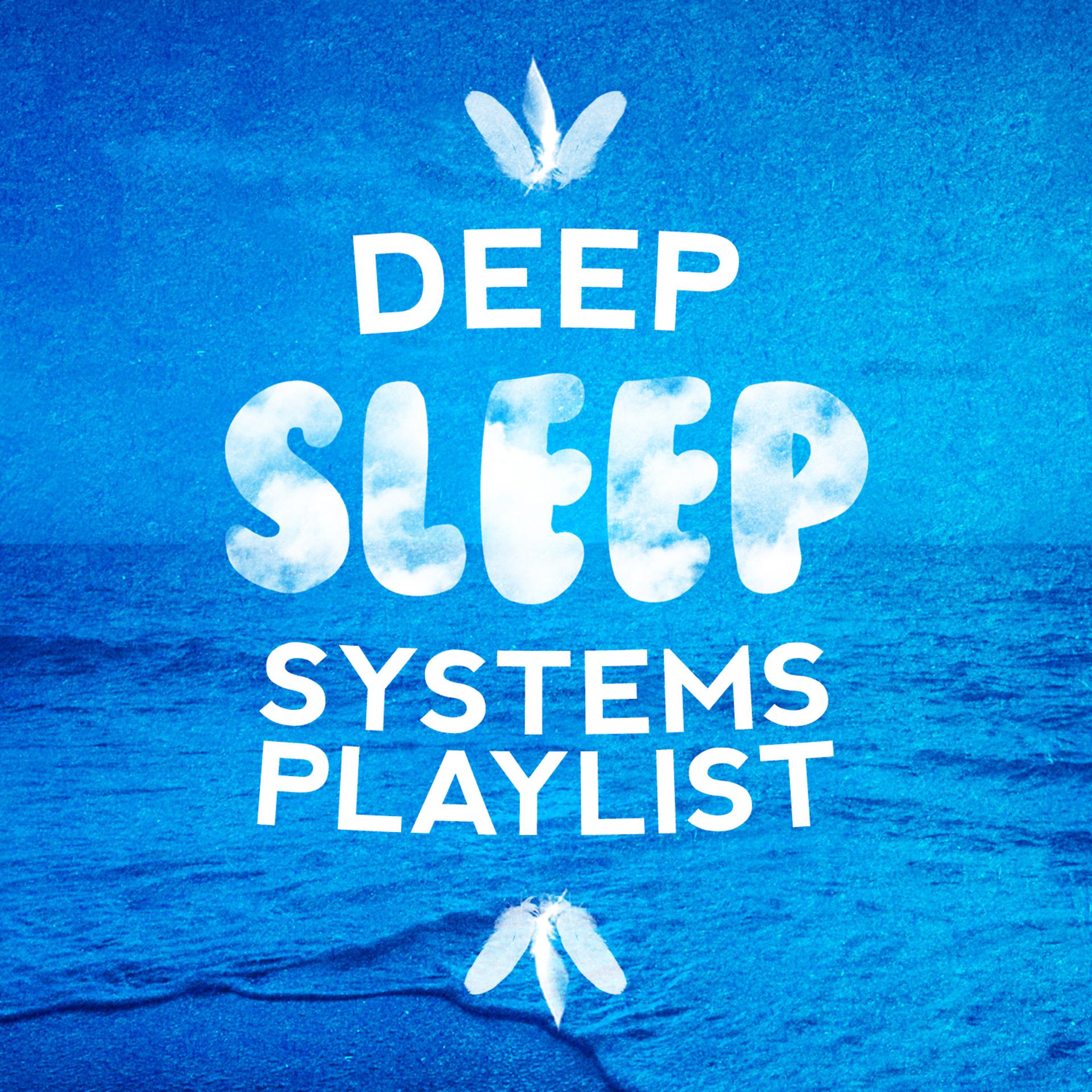 Постер альбома Deep Sleep Systems Playlist