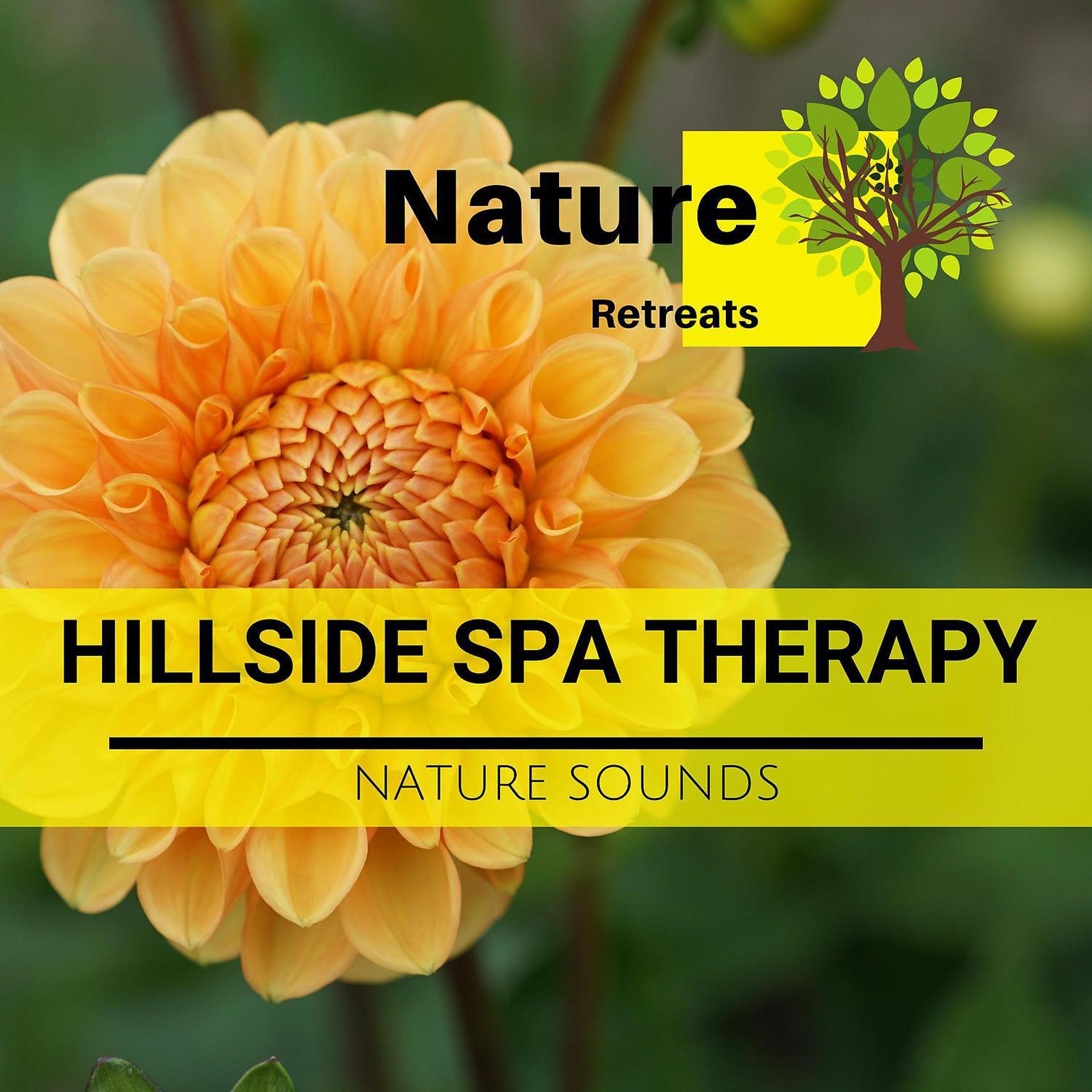 Постер альбома Hillside Spa Therapy - Nature Sounds