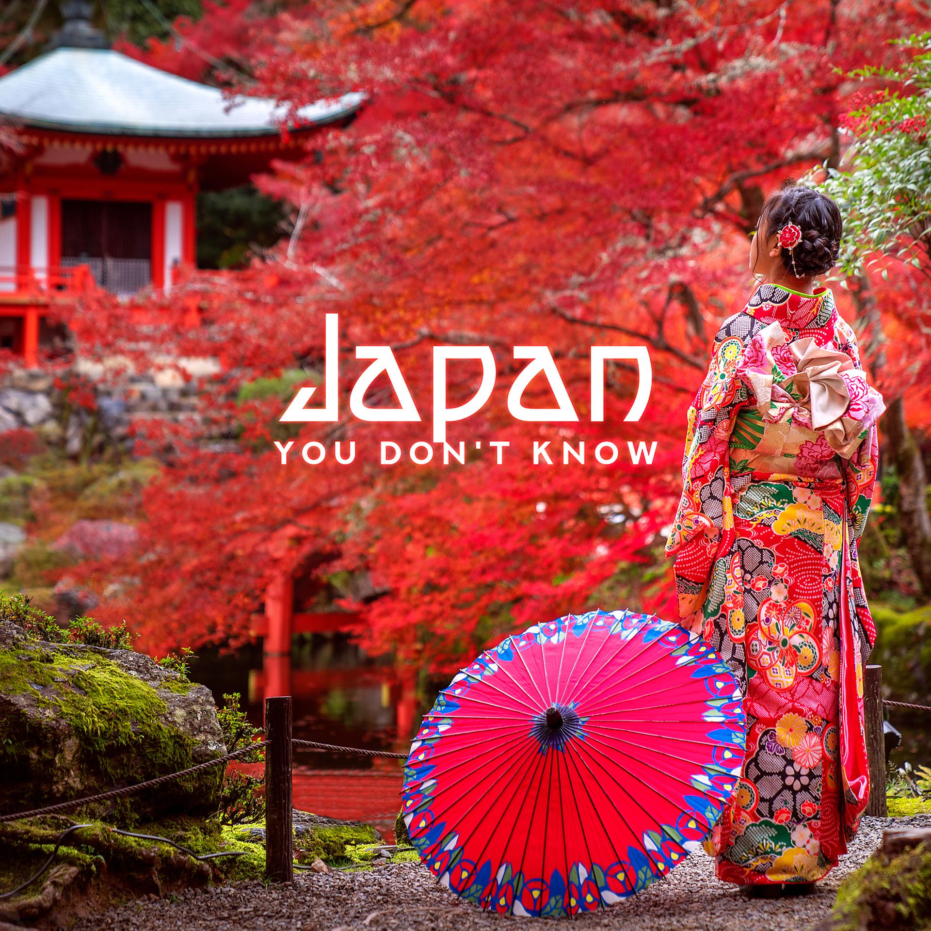 Постер альбома Japan You Don't Know