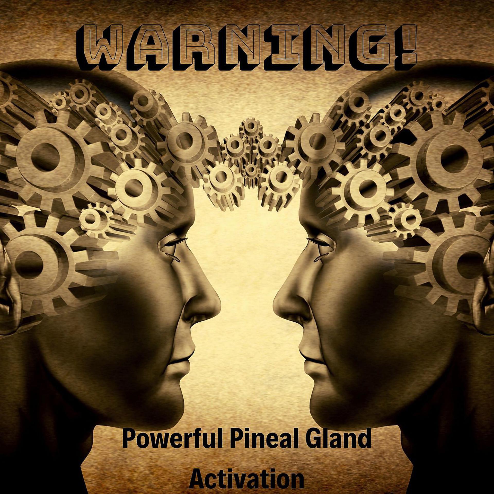 Постер альбома WARNING! Powerful Pineal Gland Activation - Chakra Meditation & Healing Music