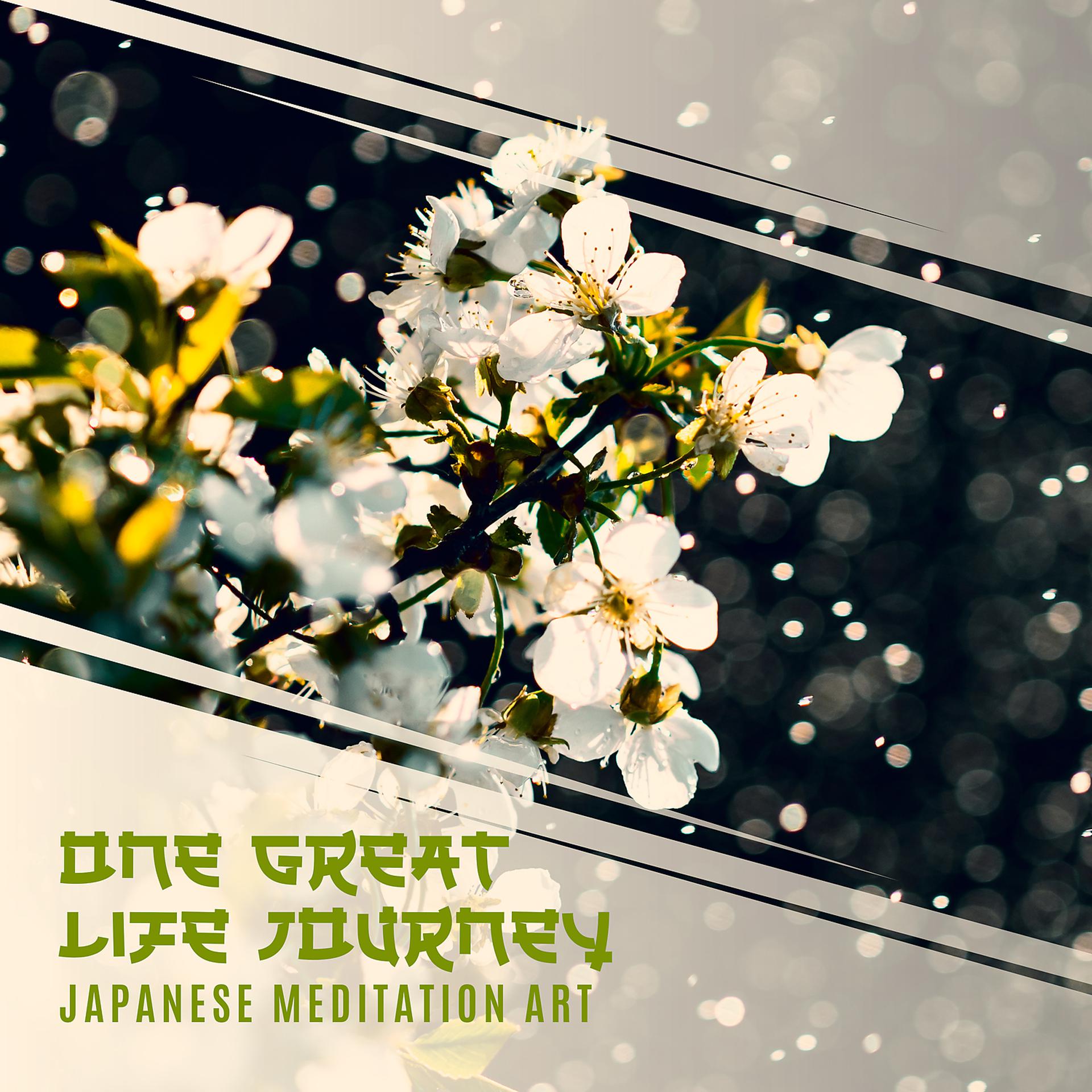 Постер альбома One Great Life Journey: Japanese Meditation Art
