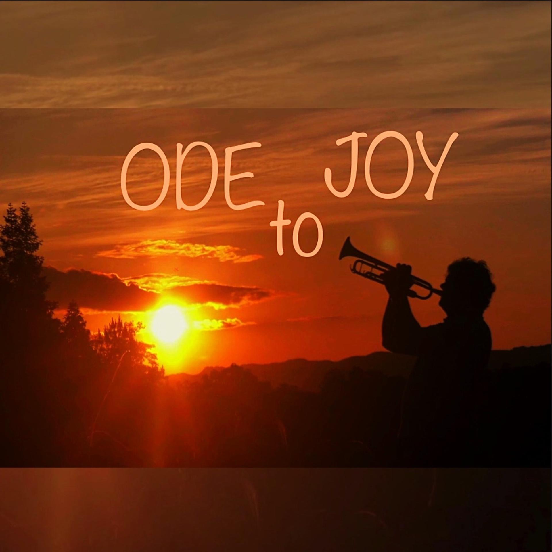 Постер альбома Ode to Joy