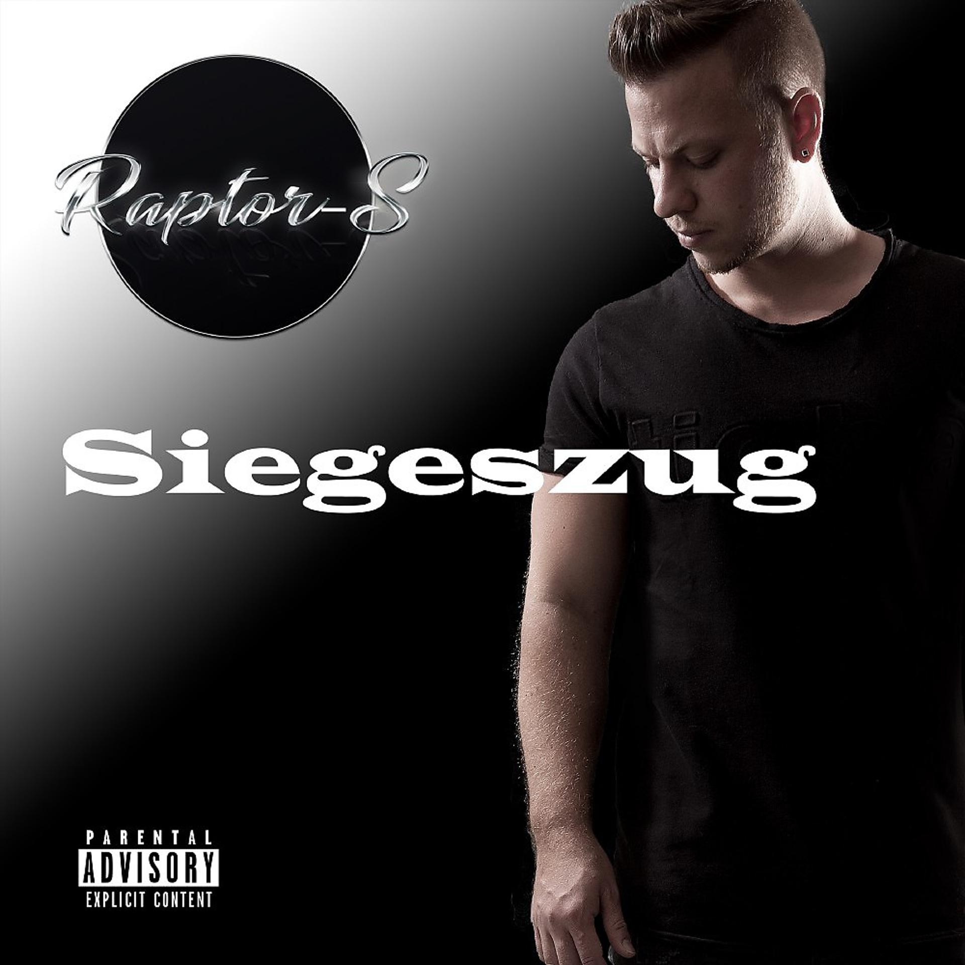 Постер альбома Siegeszug