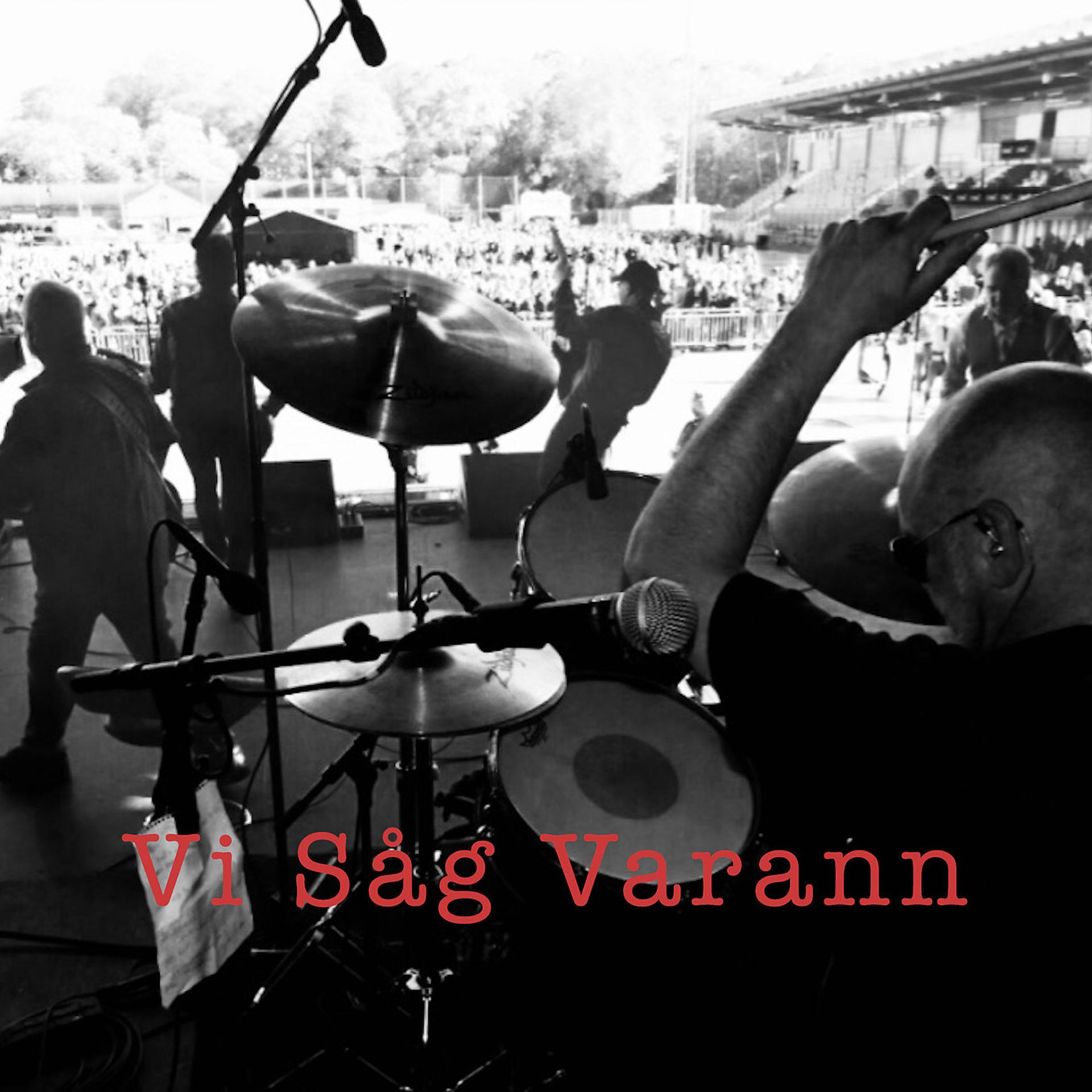 Постер альбома Vi Såg Varann