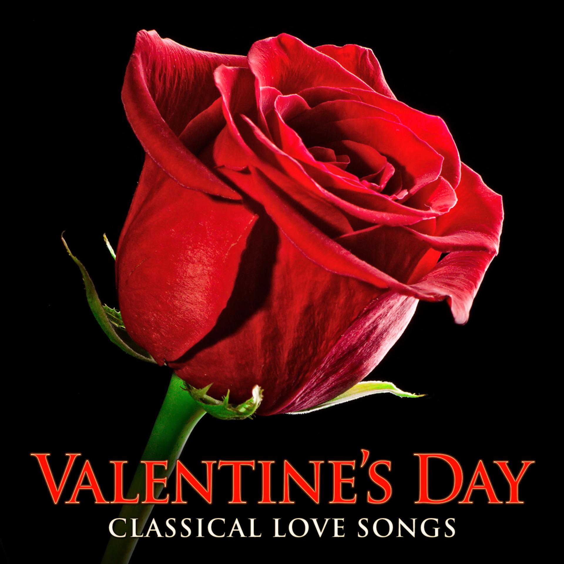 Постер альбома Valentine's Day: Classical Love Songs