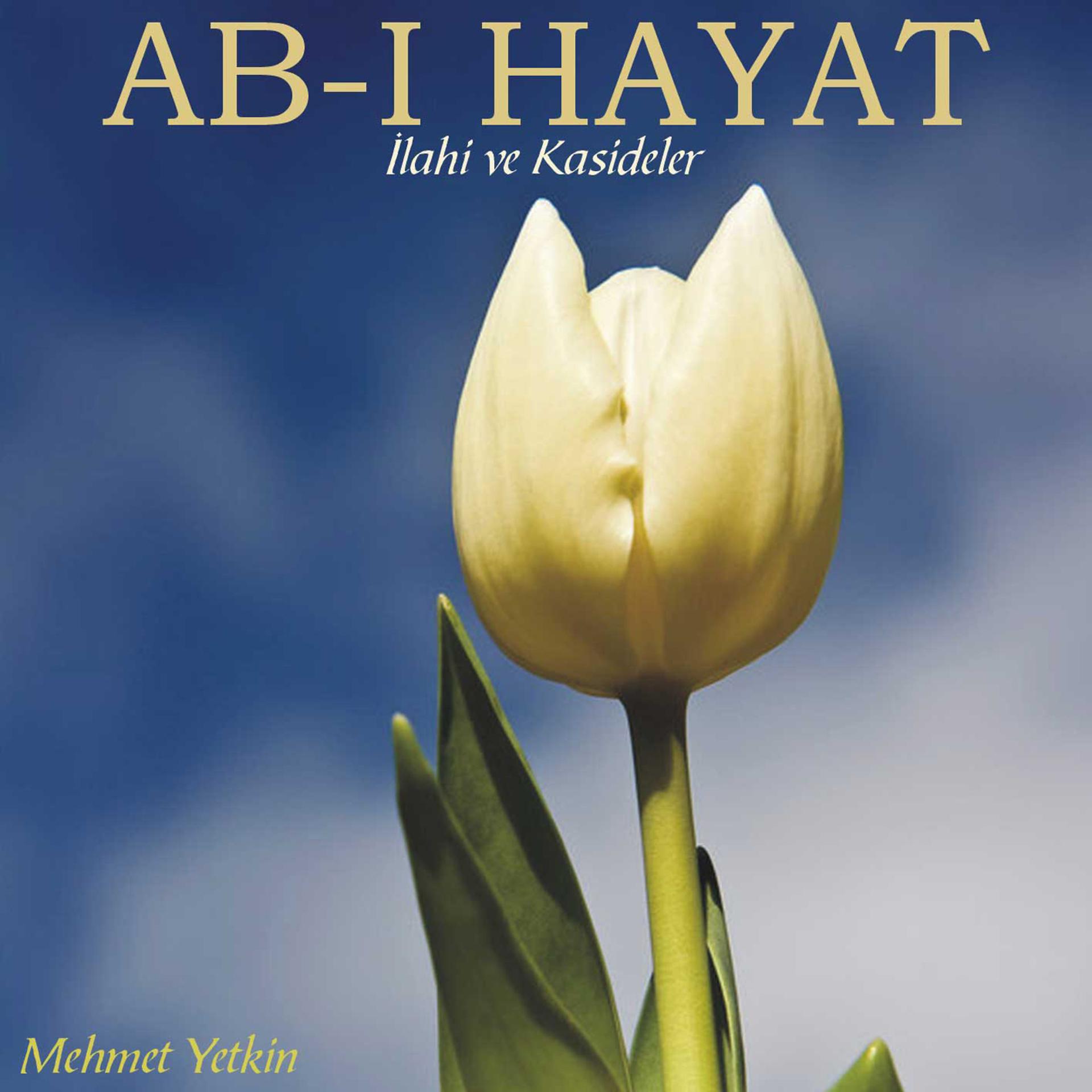 Постер альбома Ab-ı Hayat / İlahi ve Kasideler
