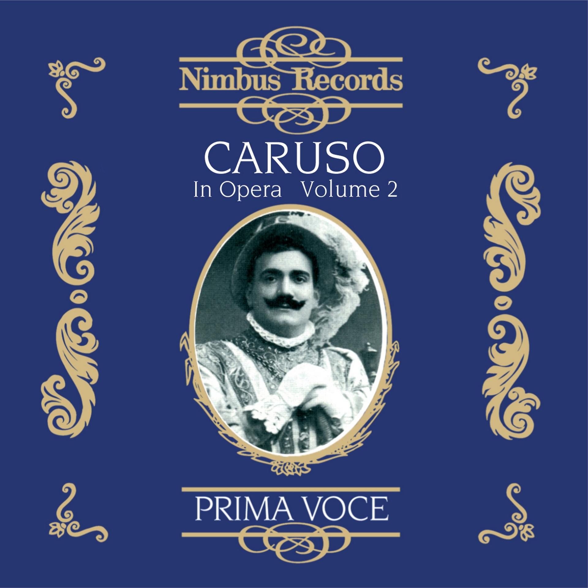 Постер альбома Caruso in Opera, Vol. 2