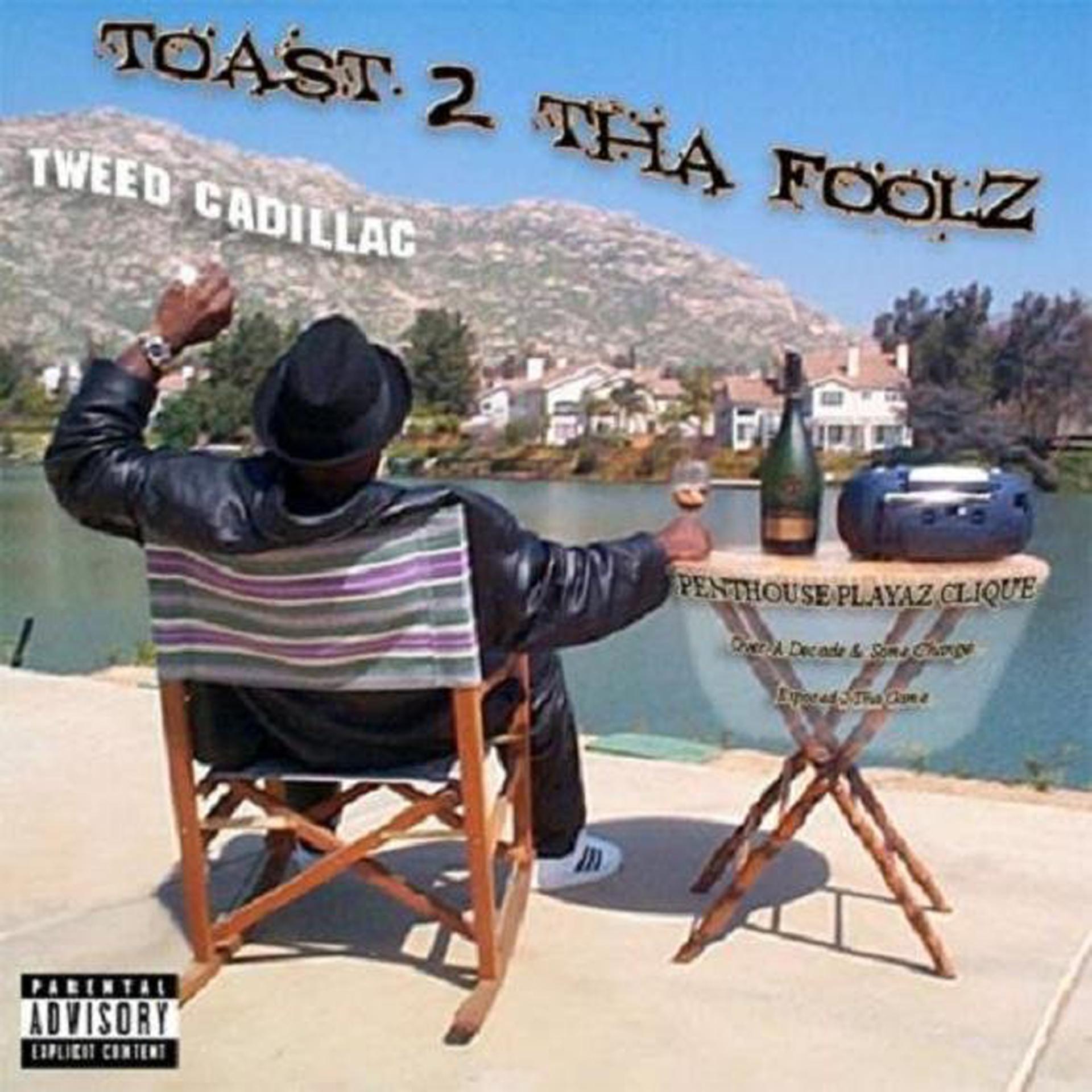 Постер альбома Toast 2 Tha Foolz