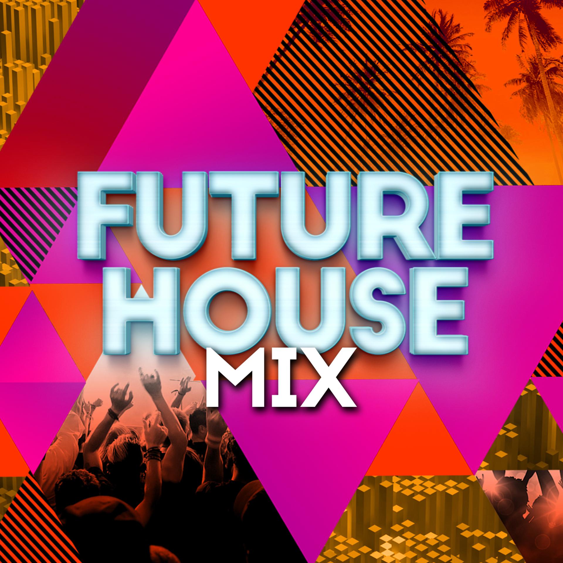 Постер альбома Future House Mix