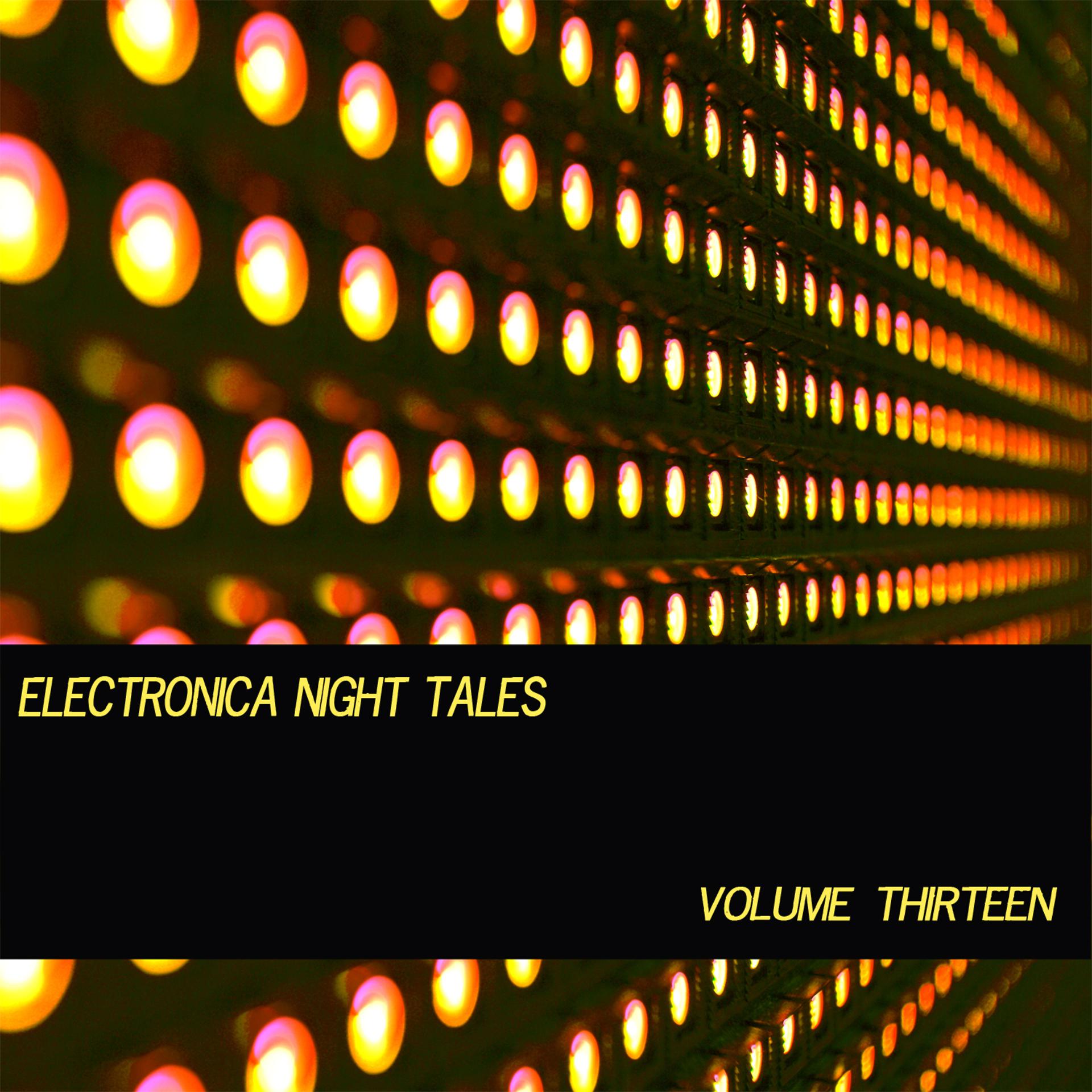 Постер альбома Electronica Night Tales, Vol. 13
