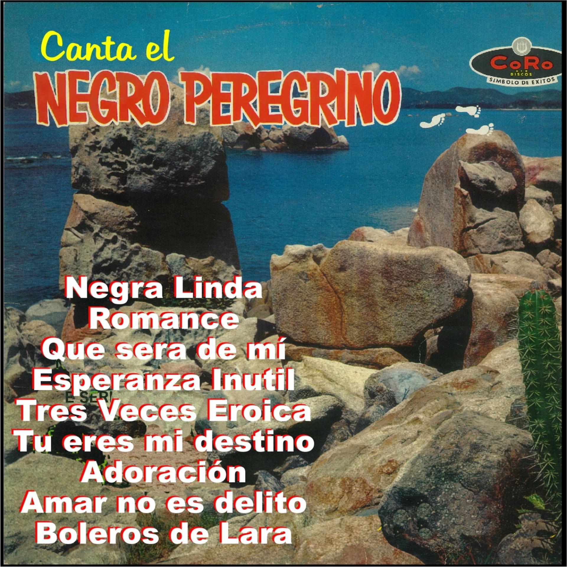 Постер альбома Canta el Negrito Peregrino