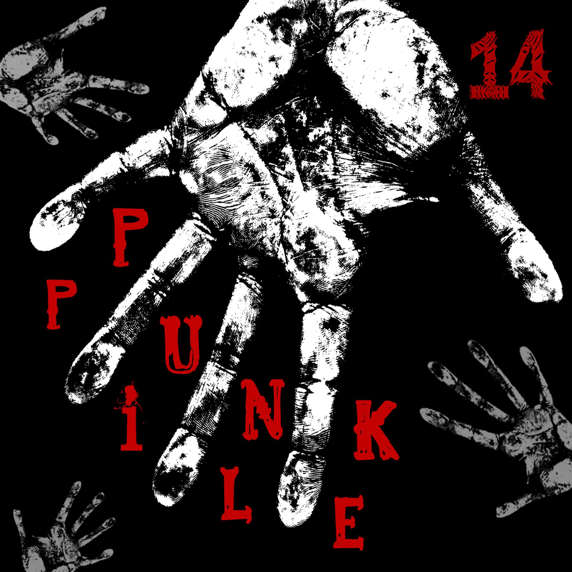 Постер альбома Punk Pile 14