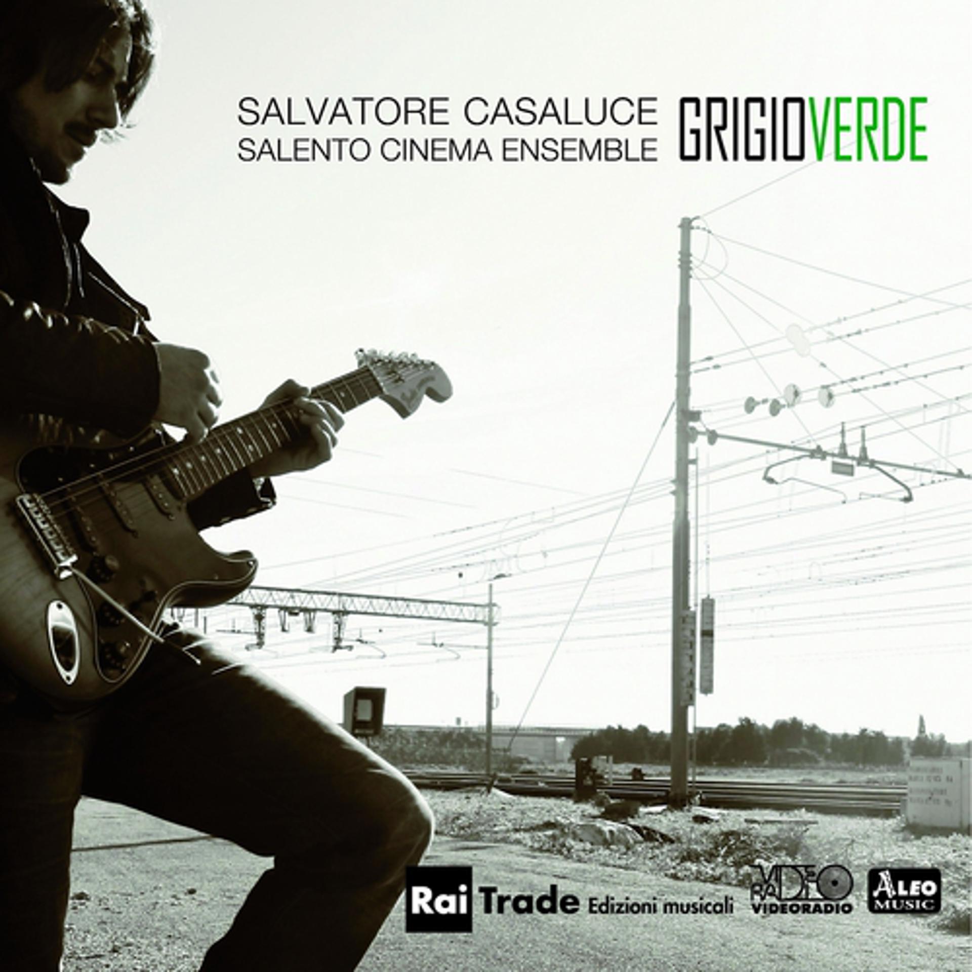 Постер альбома Grigio verde