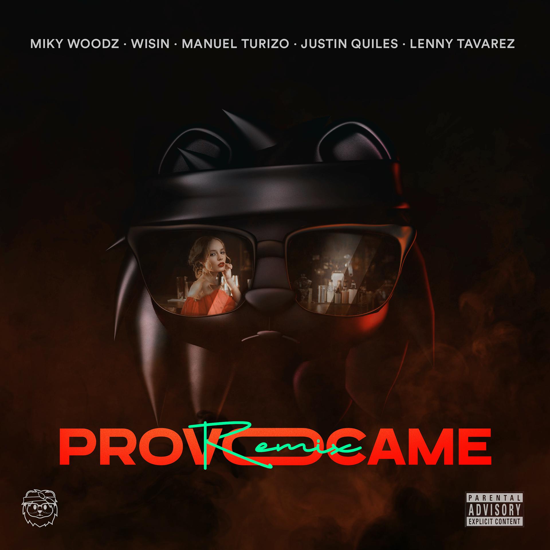 Постер альбома Provócame (Remix)