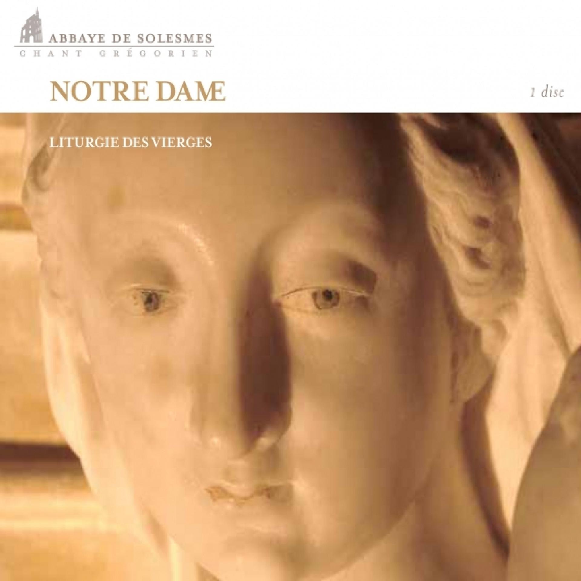 Постер альбома Notre Dame