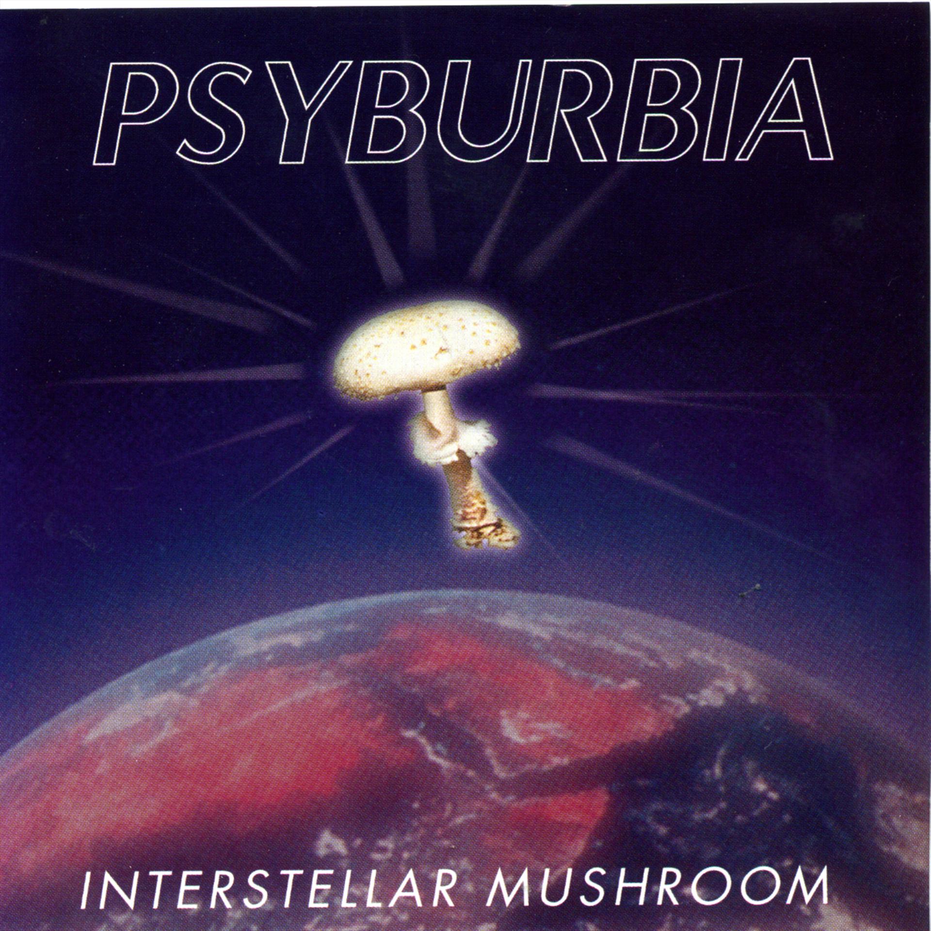 Постер альбома Interstellar Mushroom