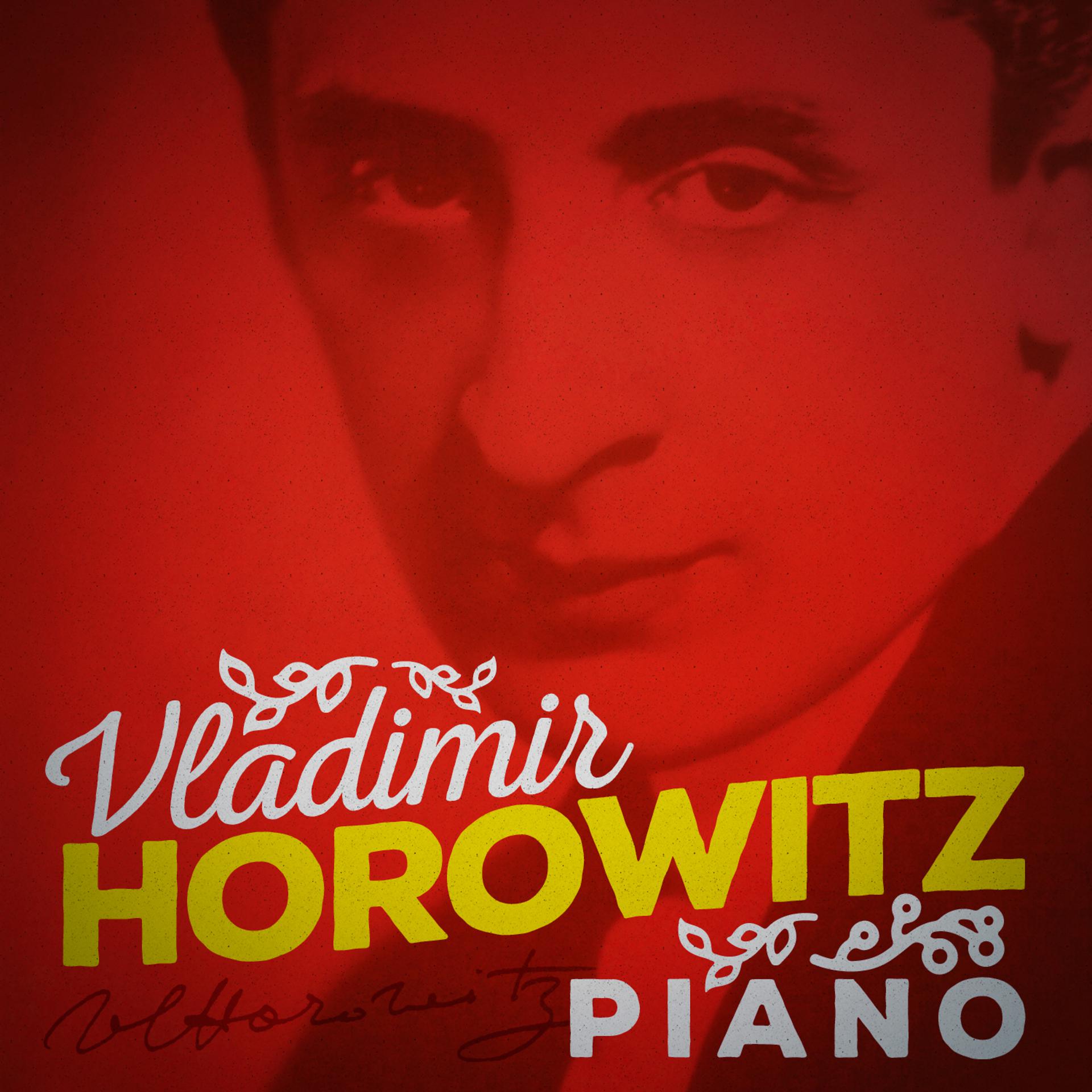 Постер альбома Vladimir Horowitz: Piano