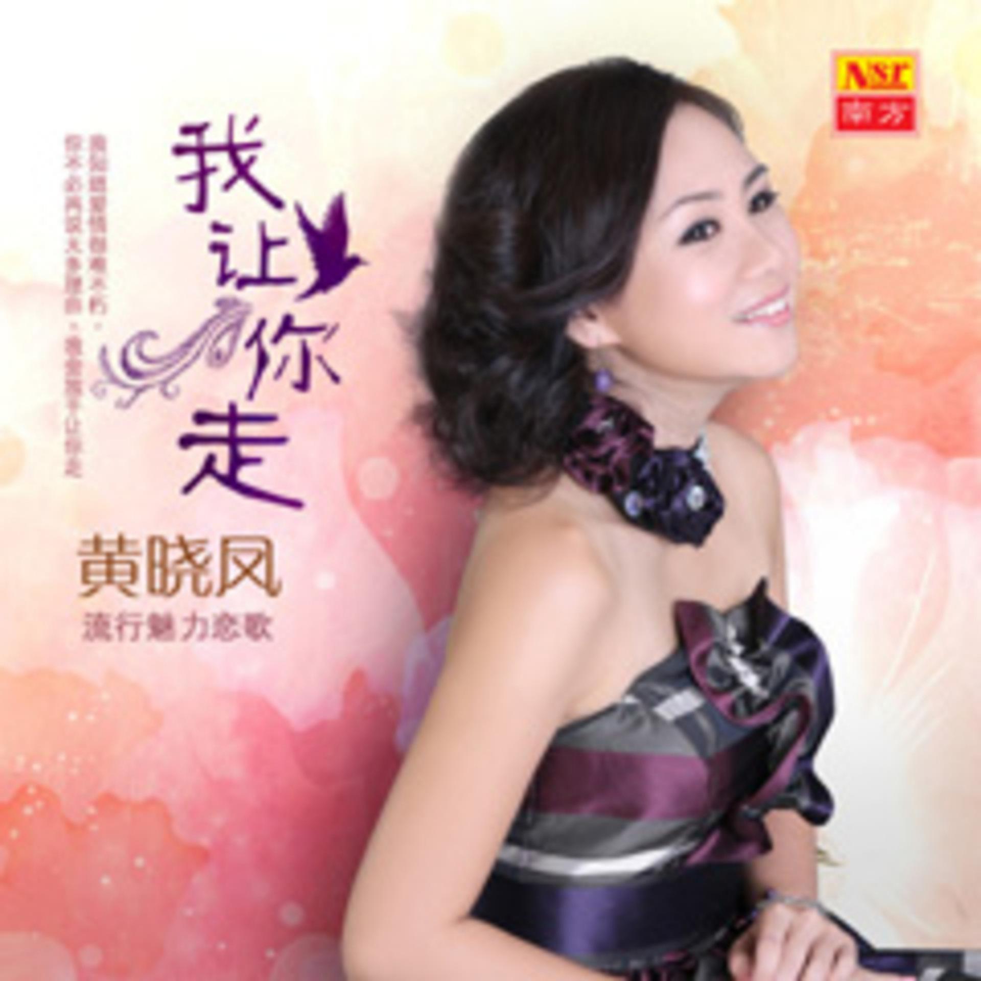 Постер альбома Wo Rang Ni Zou ( Liu Xing Mei Li Lian Ge V)
