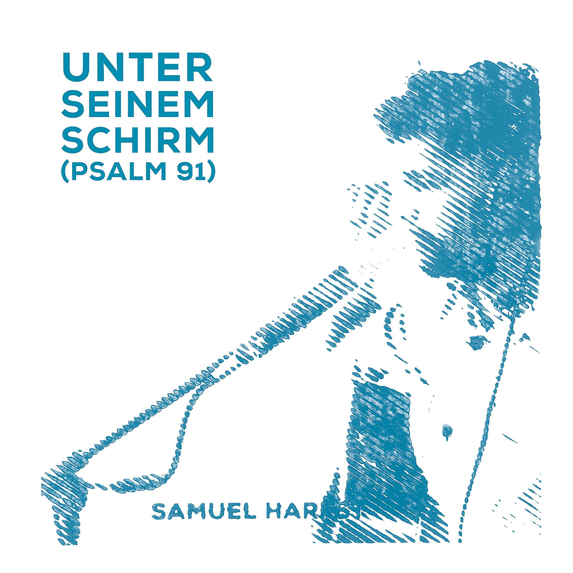 Постер альбома Unter seinem Schirm (Psalm 91)