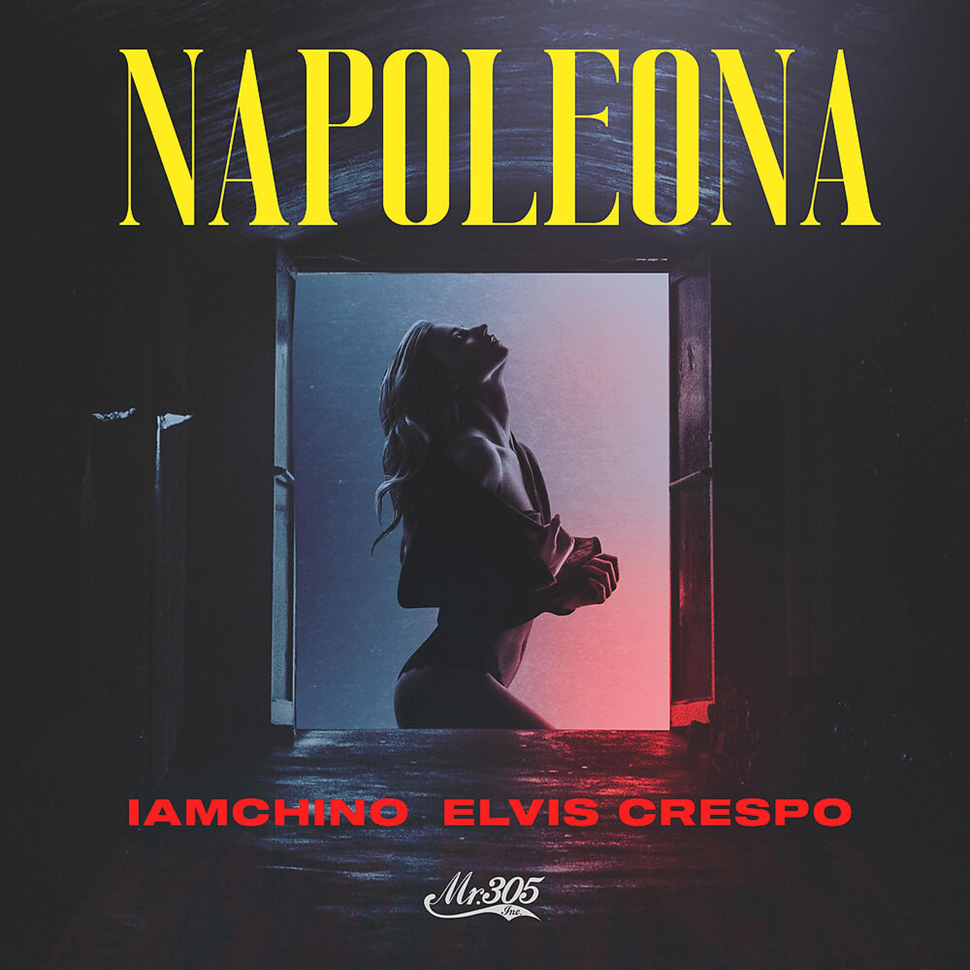 Постер альбома Napoleona