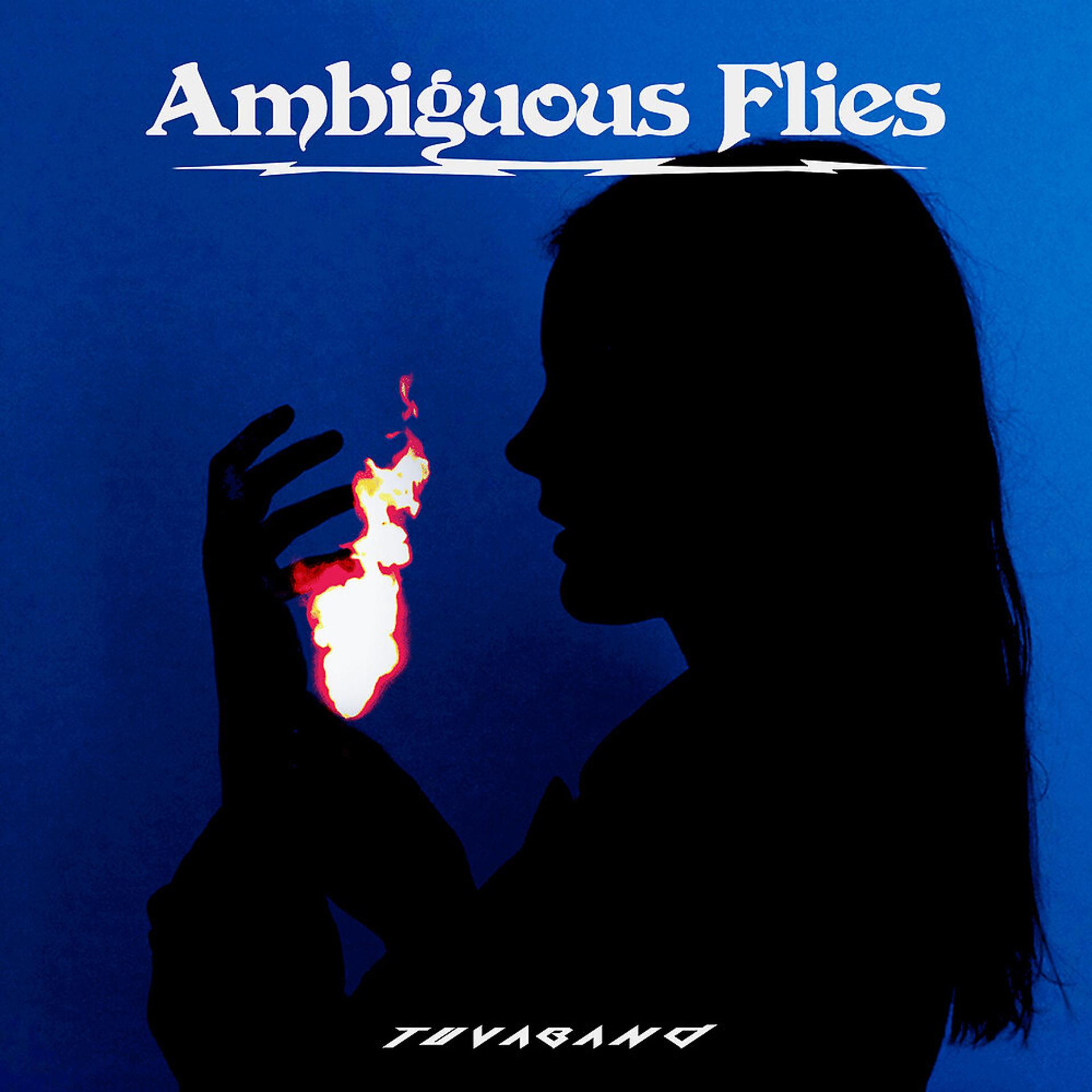 Постер альбома Ambiguous Flies
