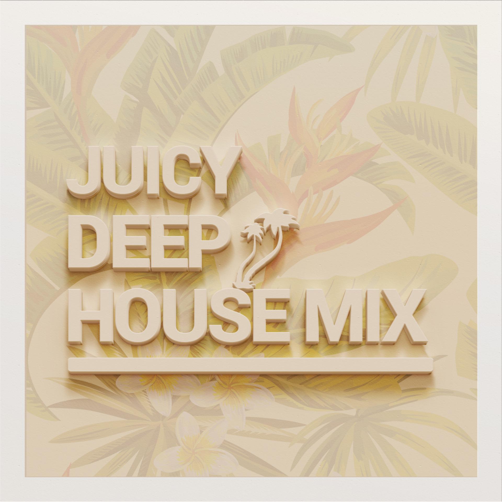 Постер альбома Juicy Deep House Mix