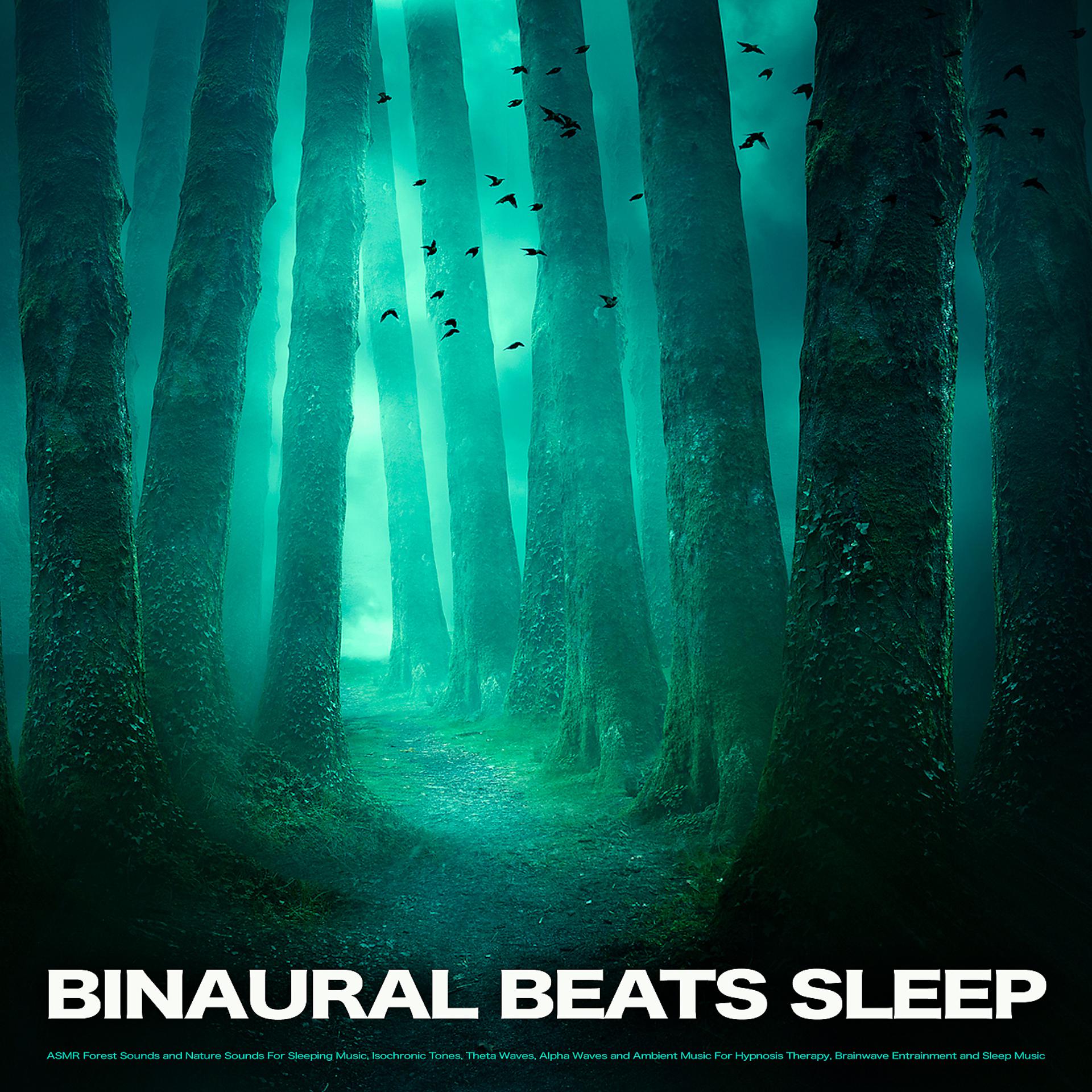 Постер альбома Binaural Beats Sleep: ASMR Forest Sounds and Nature Sounds For Sleeping Music, Isochronic Tones, Theta Waves, Alpha Waves and Ambient Music For Hypnosis Therapy, Brainwave Entrainment and Sleep Music
