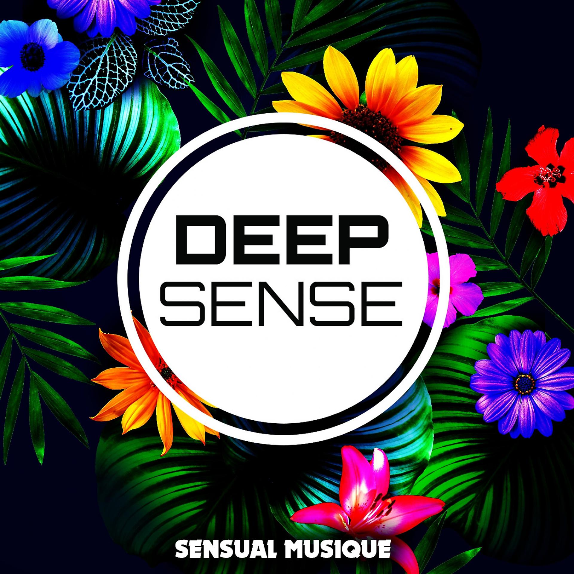Постер альбома Sensual Musique